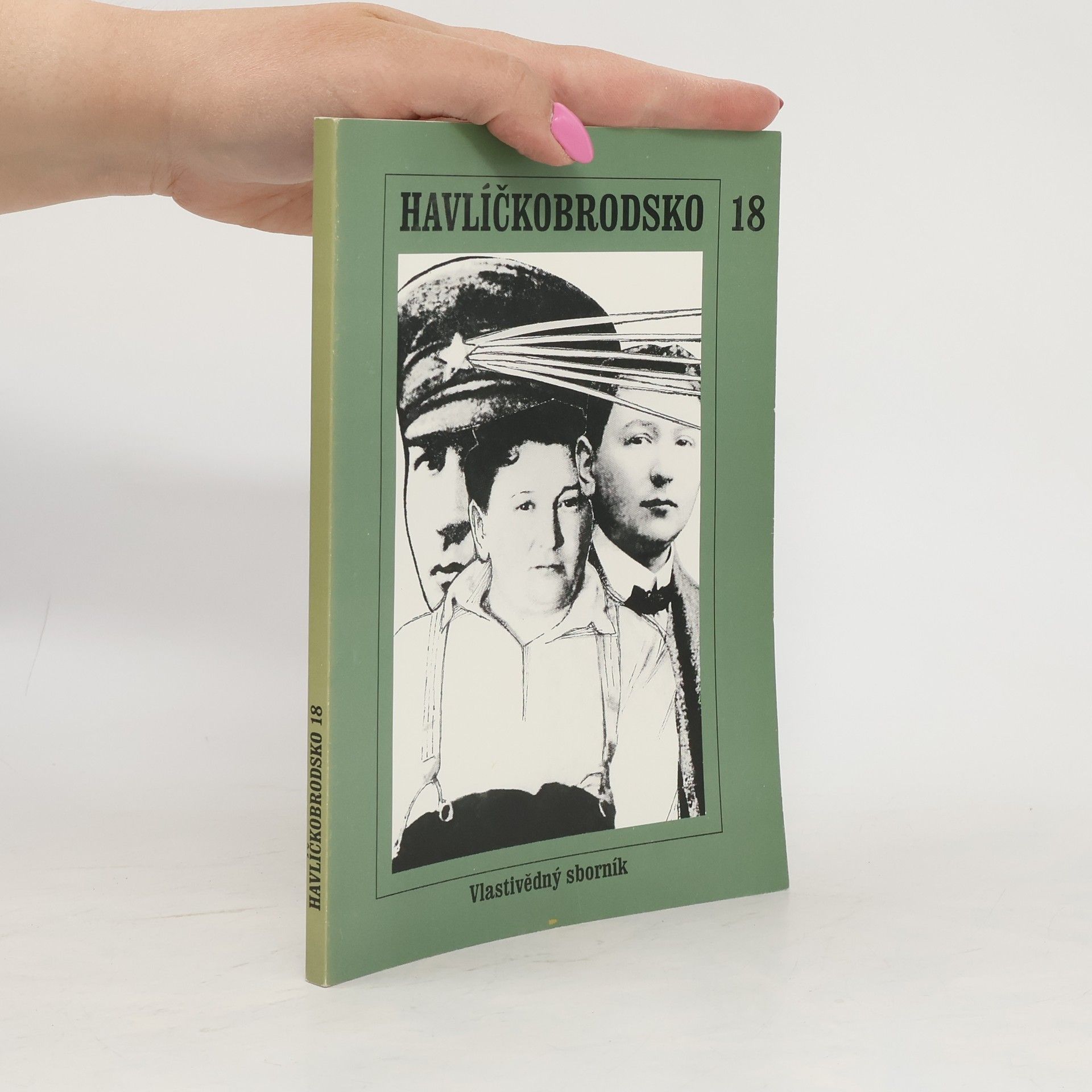 Auteurscollectief Havlíčkobrodsko 18. Vlastivědný sborník