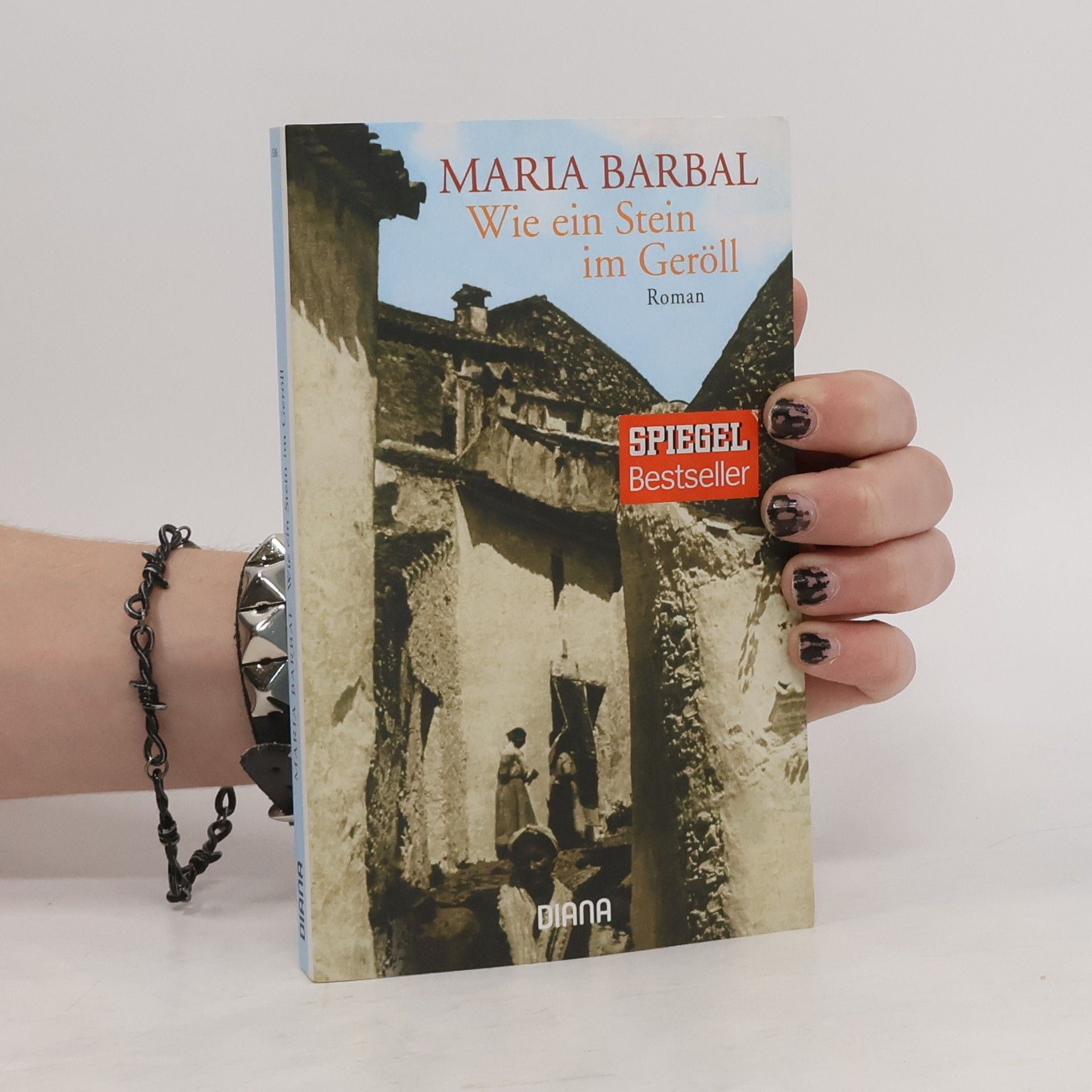 María Barbal Wie ein Stein im Geröll