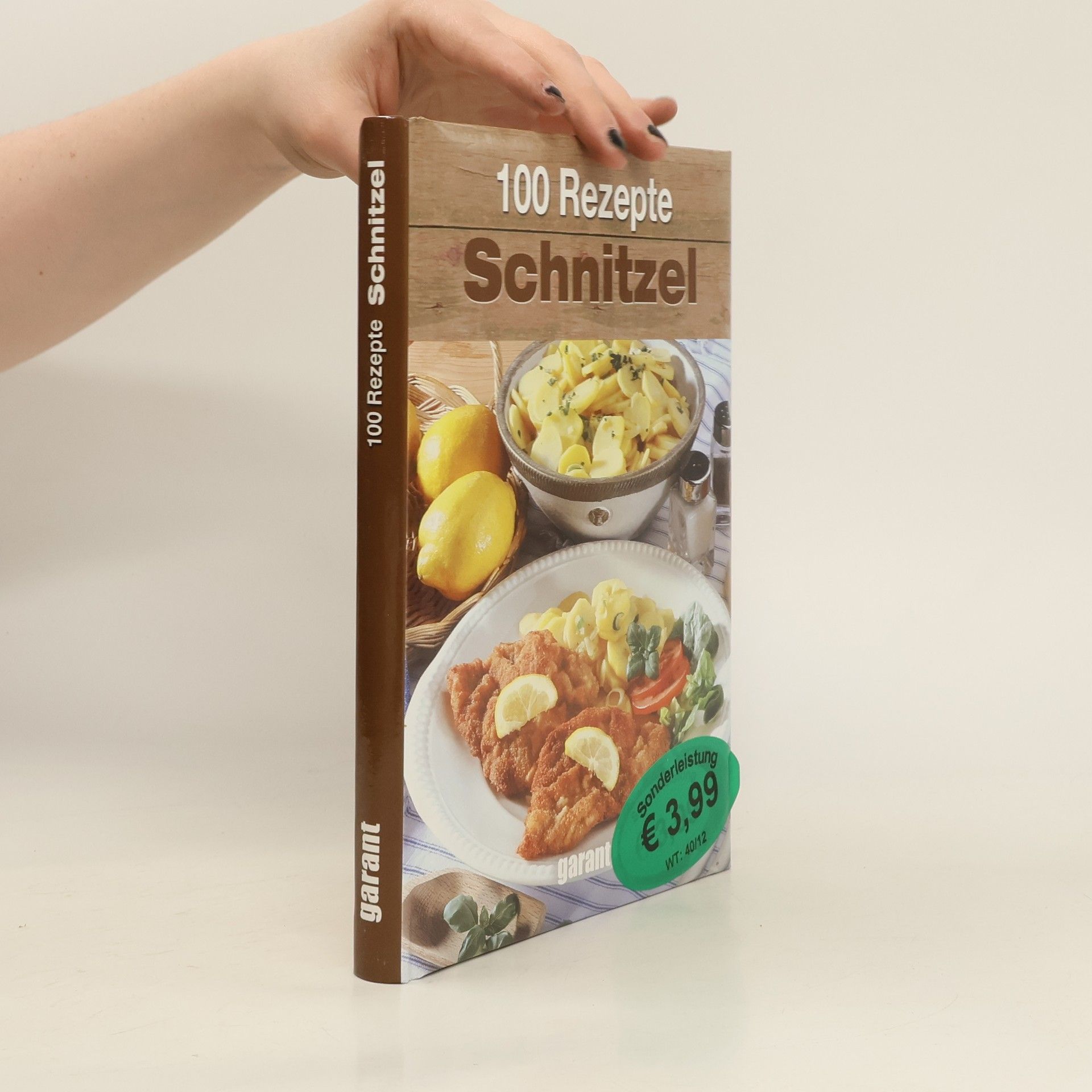 kolektiv 100 Rezepte Schnitzel
