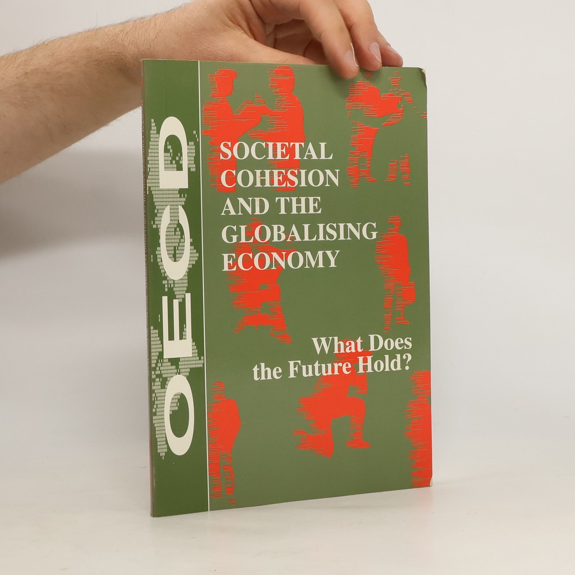 Kolektiv autorů Societal Cohesion and the Globalising Economy