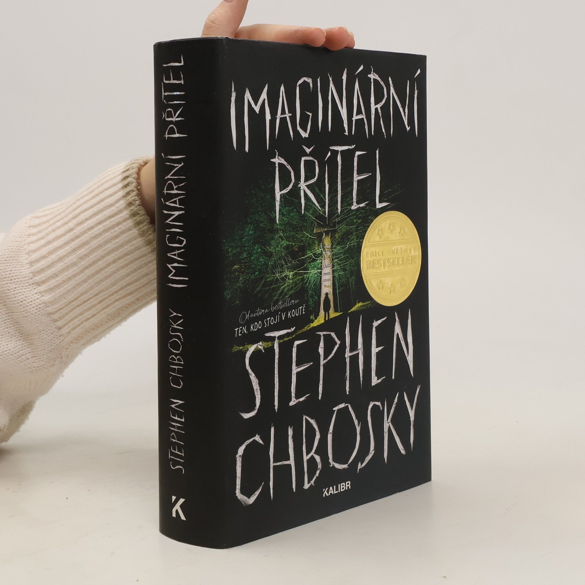 Stephen Chbosky Imaginární přítel