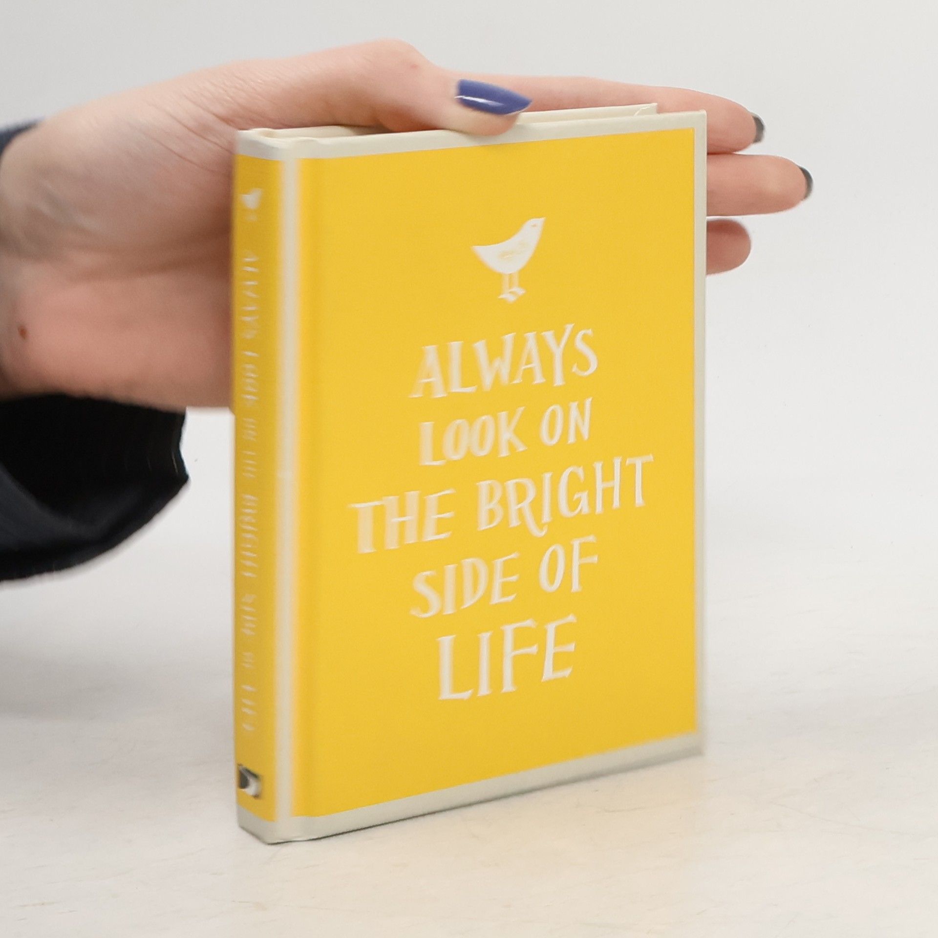 Sarah Viner Alwyas Look on the Bright Side of Life