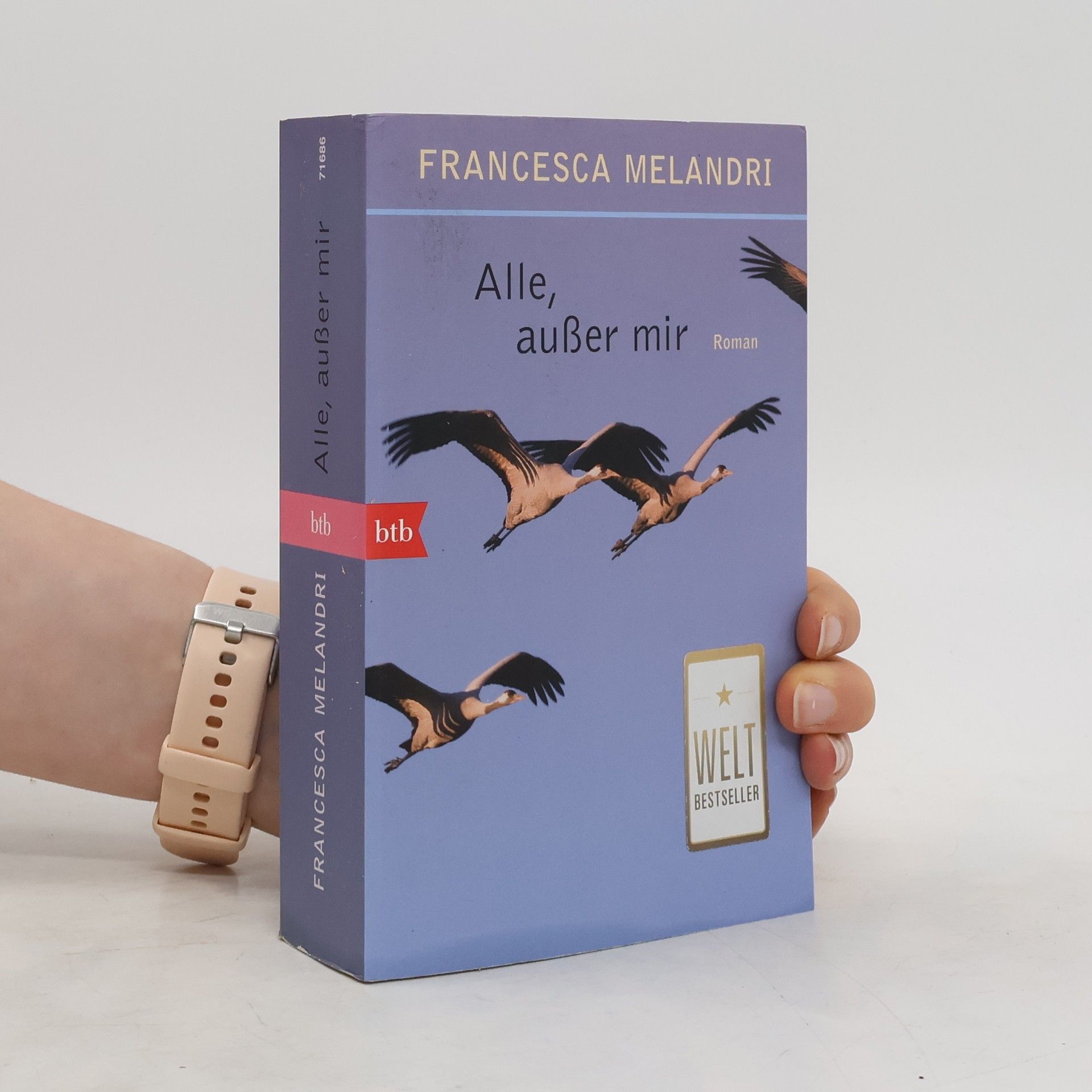 Francesca Melandri Alle, außer mir
