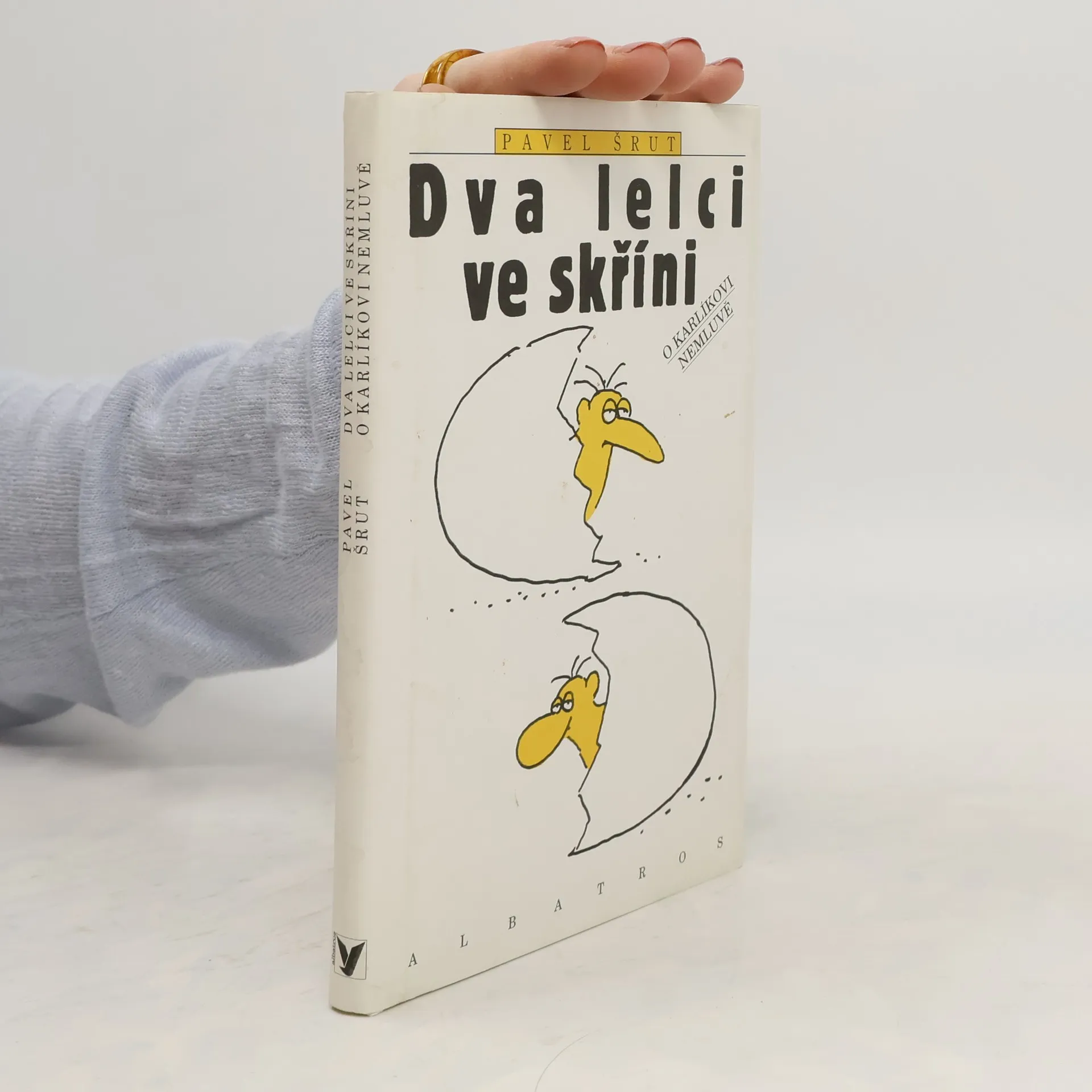 Dva lelci ve skříni o Karlíkovi nemluvě | Book | Hardcover | Pavel Šrut | CS