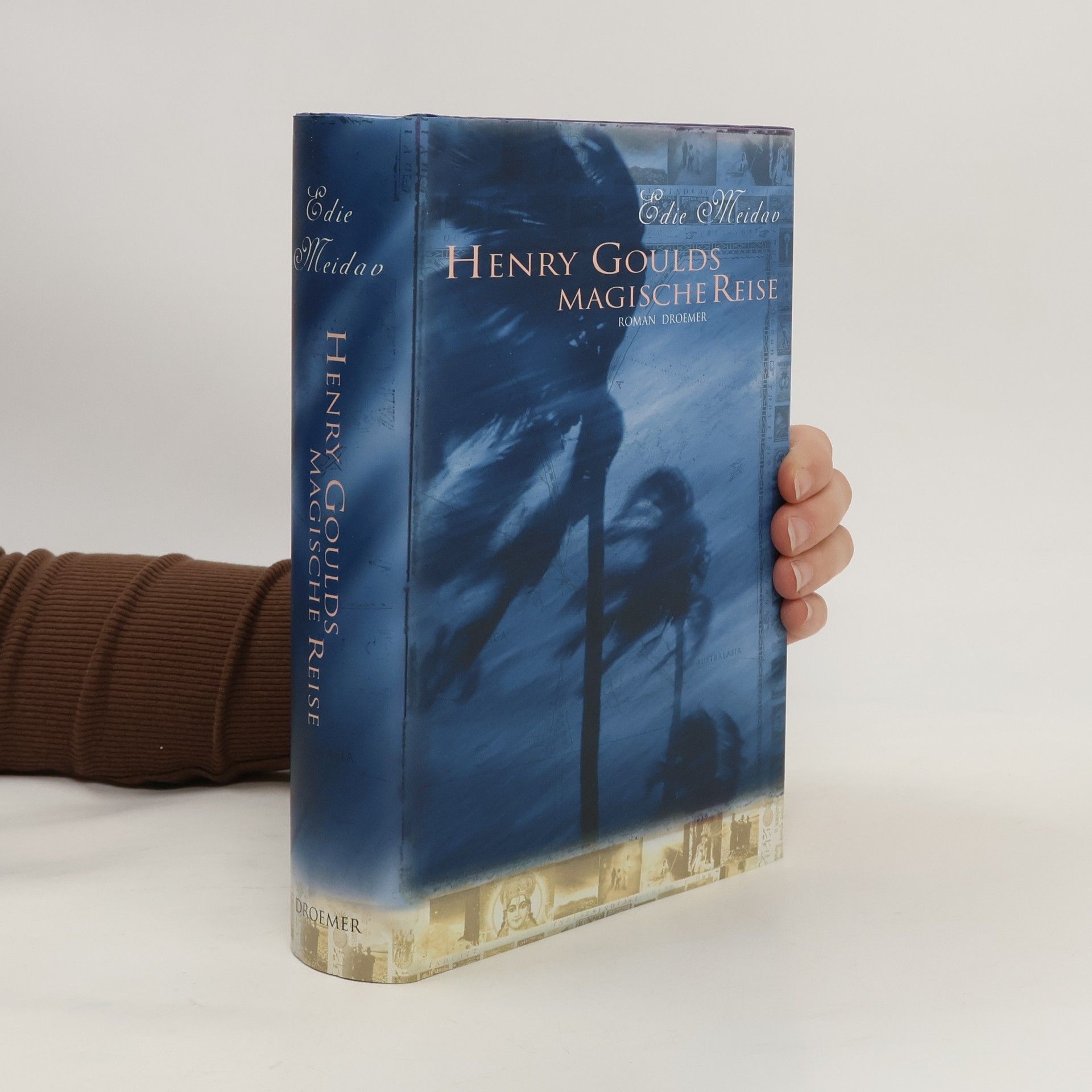 Edie Meidav Henry Goulds magische Reise