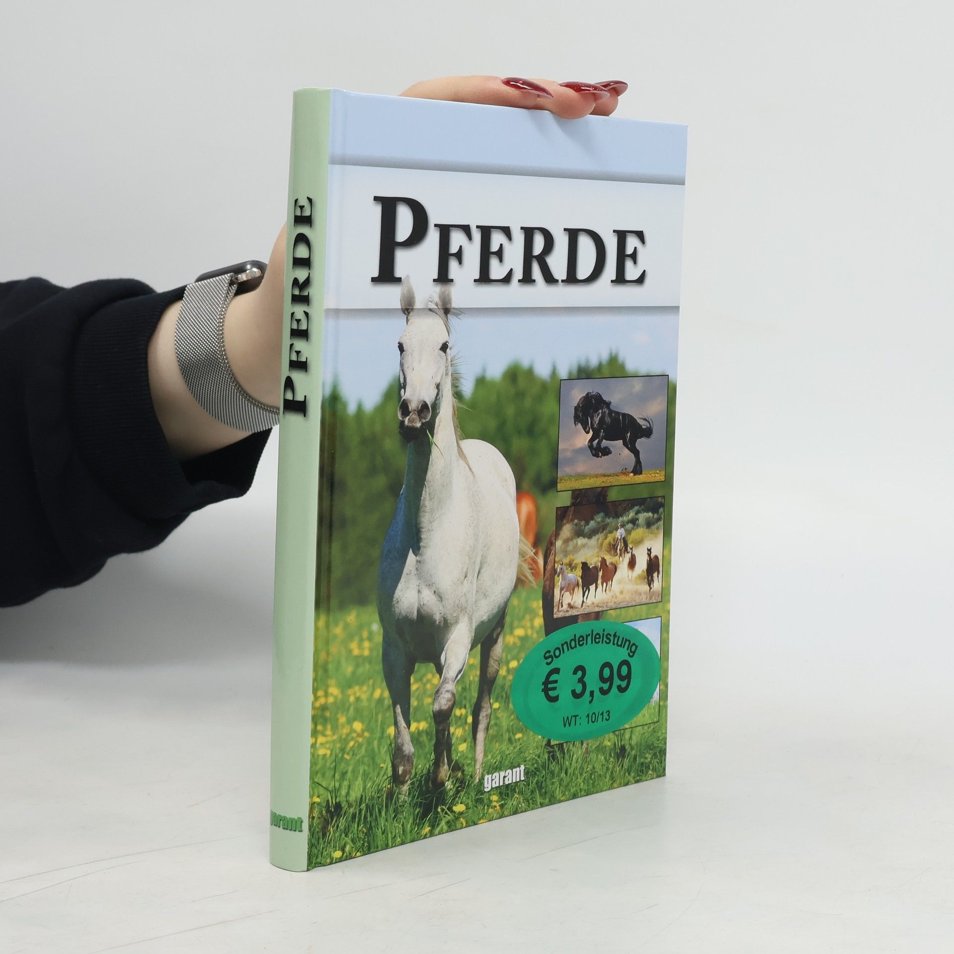 Autorenkollektiv Pferde