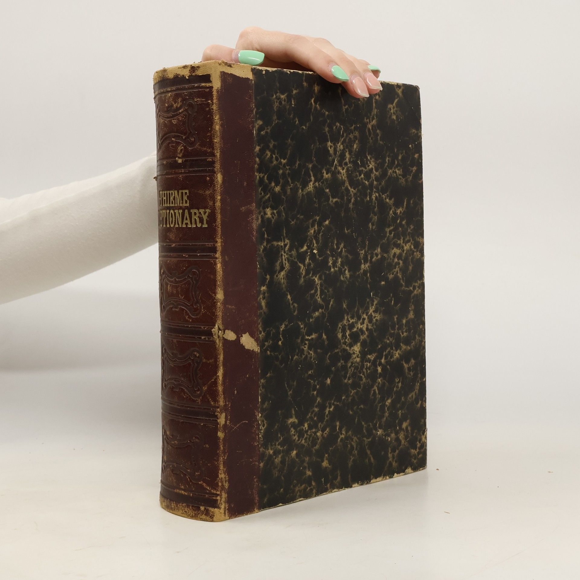 Autorenkollektiv Critical Dictionary of the English and German Languages