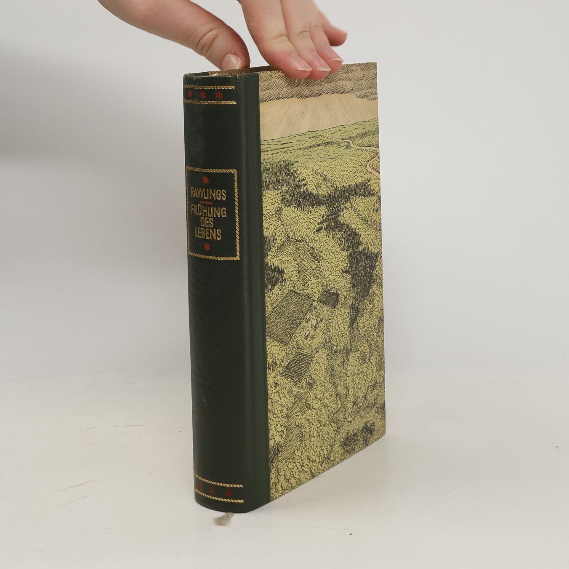 Marjorie Kinnan Rawlings Frühling des Lebens