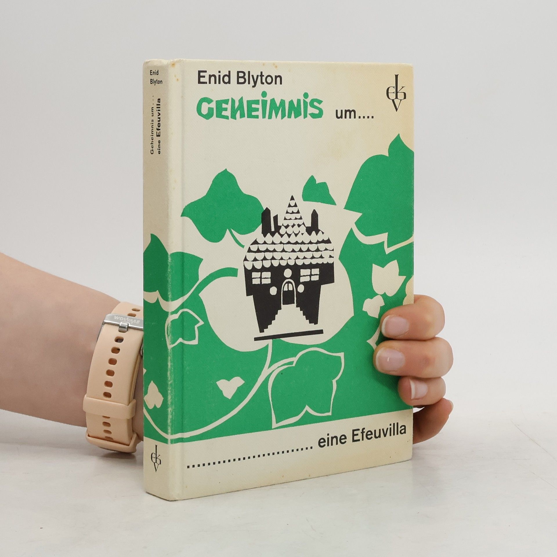 Enid Blyton Geheimnis um eine Efeuvilla