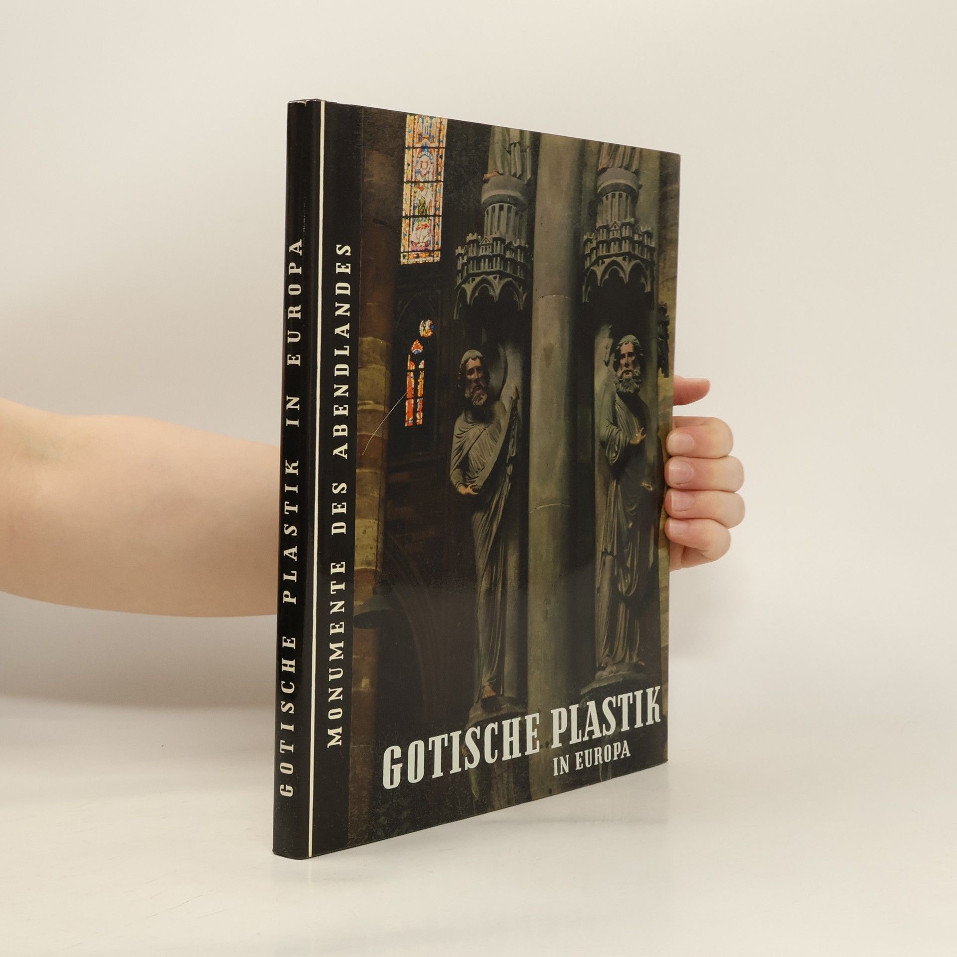 Harald Busch Gotische-Plastik in Europa