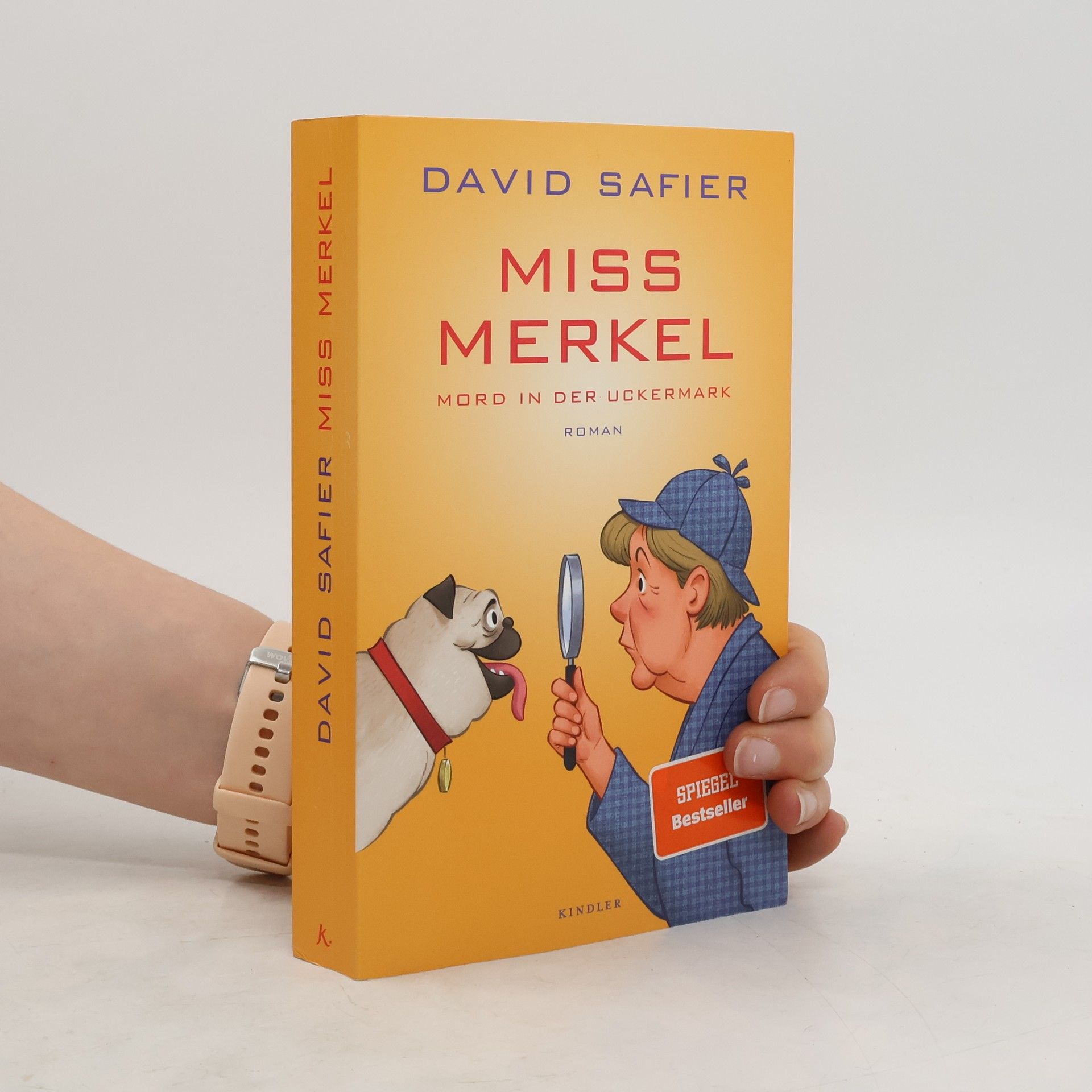 David Safier Miss Merkel