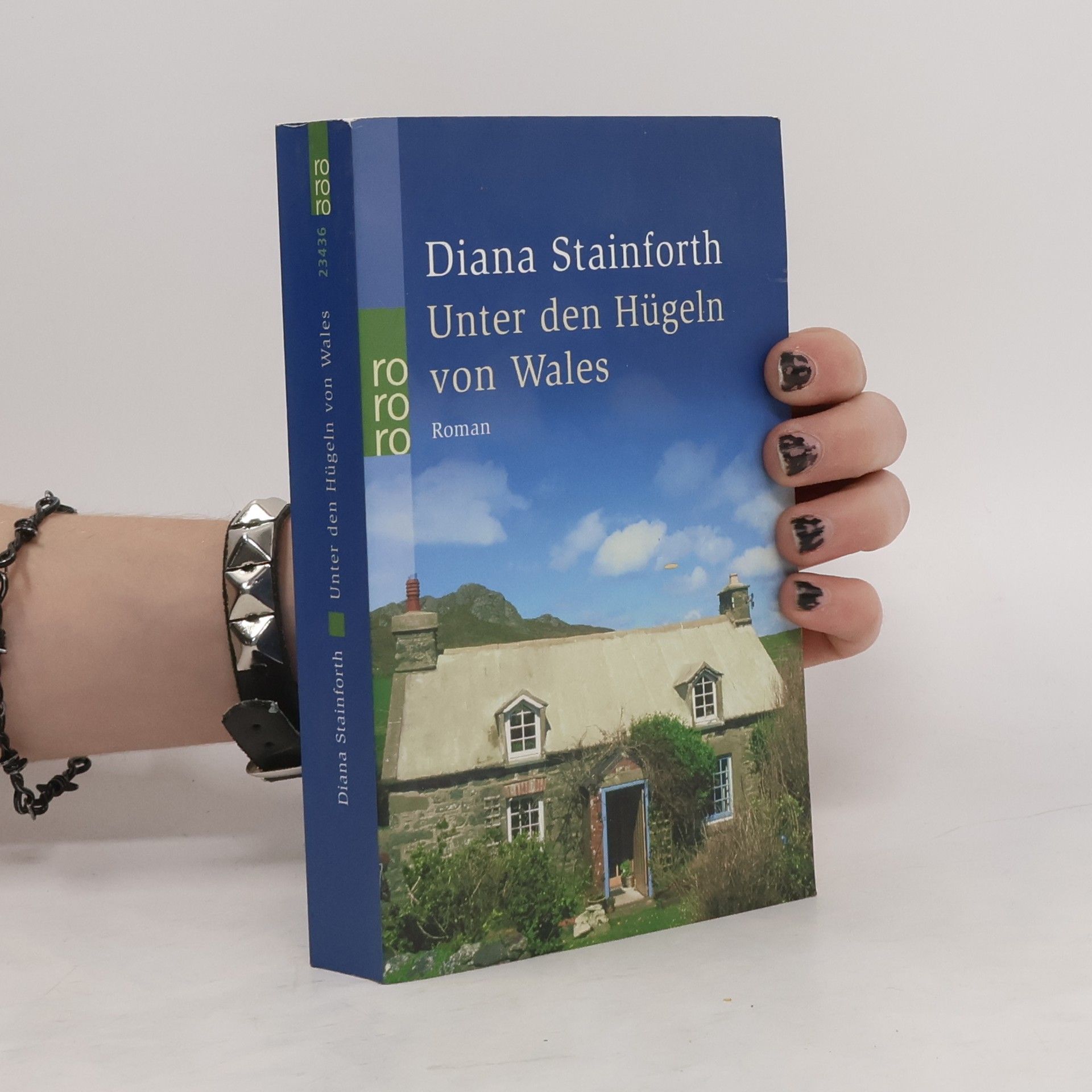 Diana Stainforth Unter den Hügeln von Wales