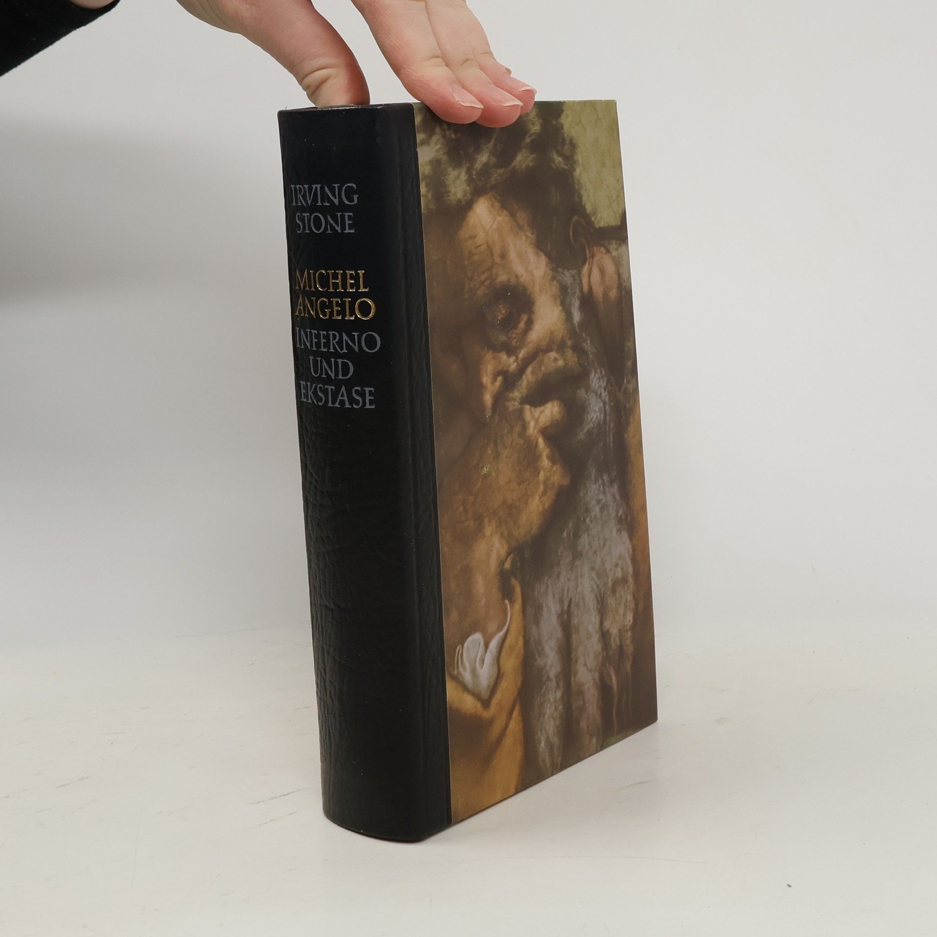 Irving Stone Michelangelo. Inferno und Ekstatse