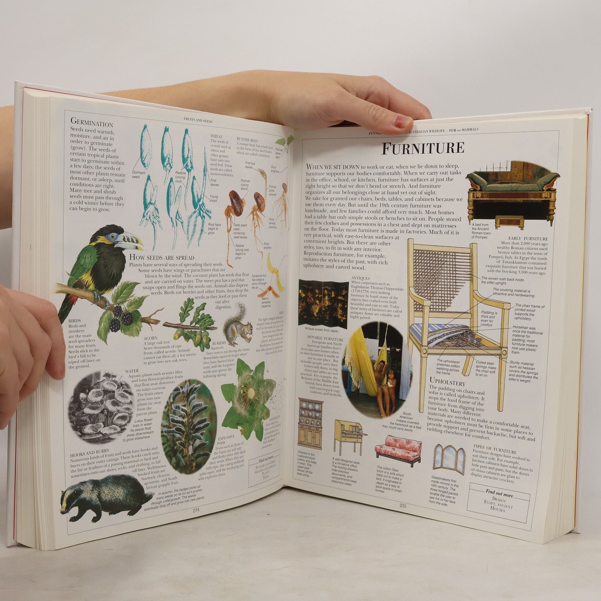 Collectif d'auteurs Children's Illustrated Encyclopedia