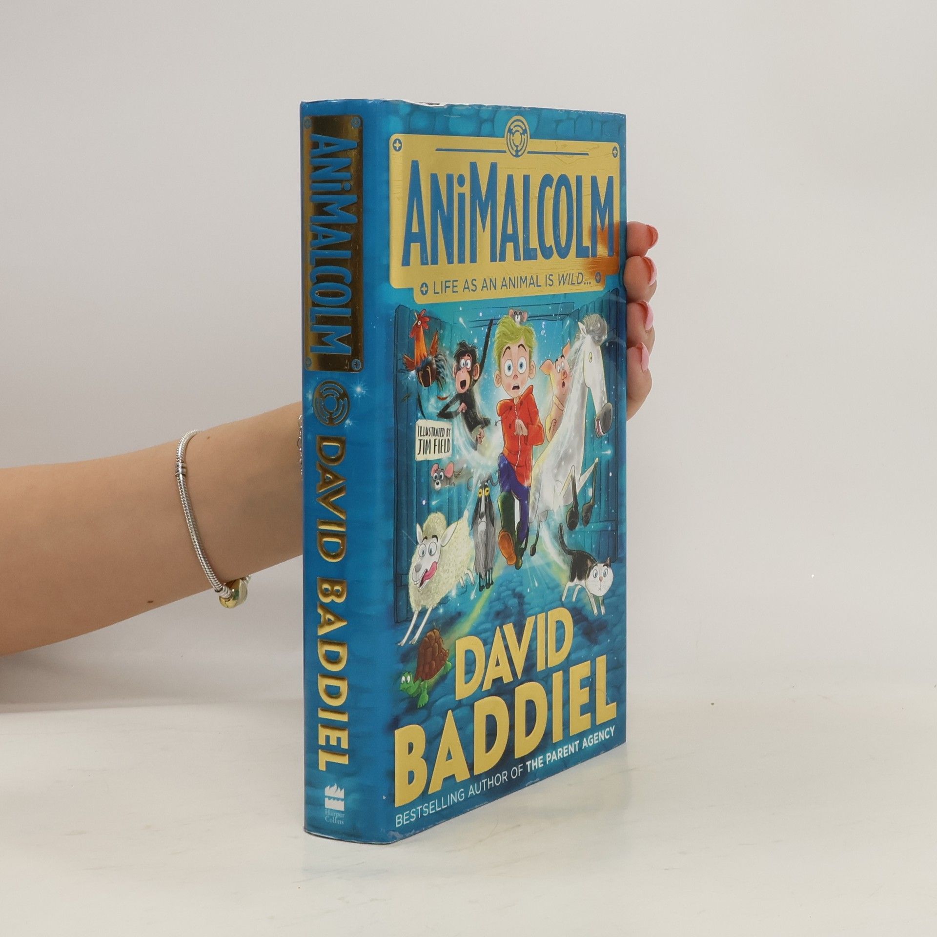 David Baddiel AniMalcolm
