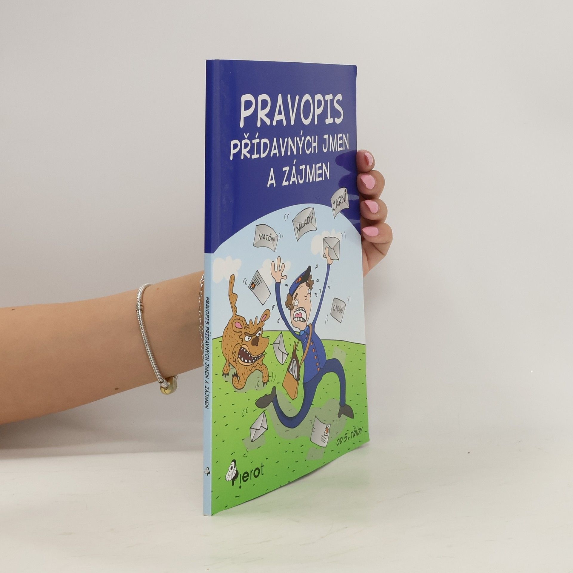 Petr Šulc Pravopis přídavných jmen a zájmen