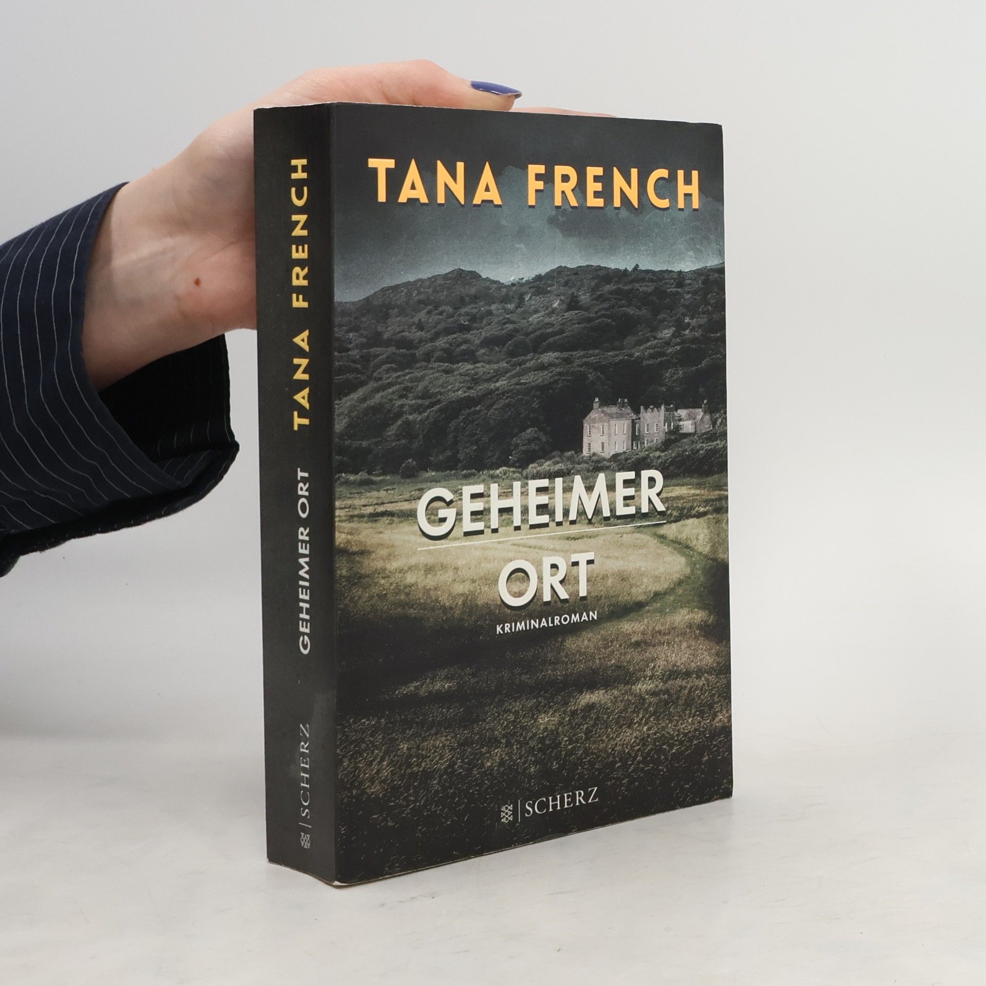 Tana French Geheimer Ort