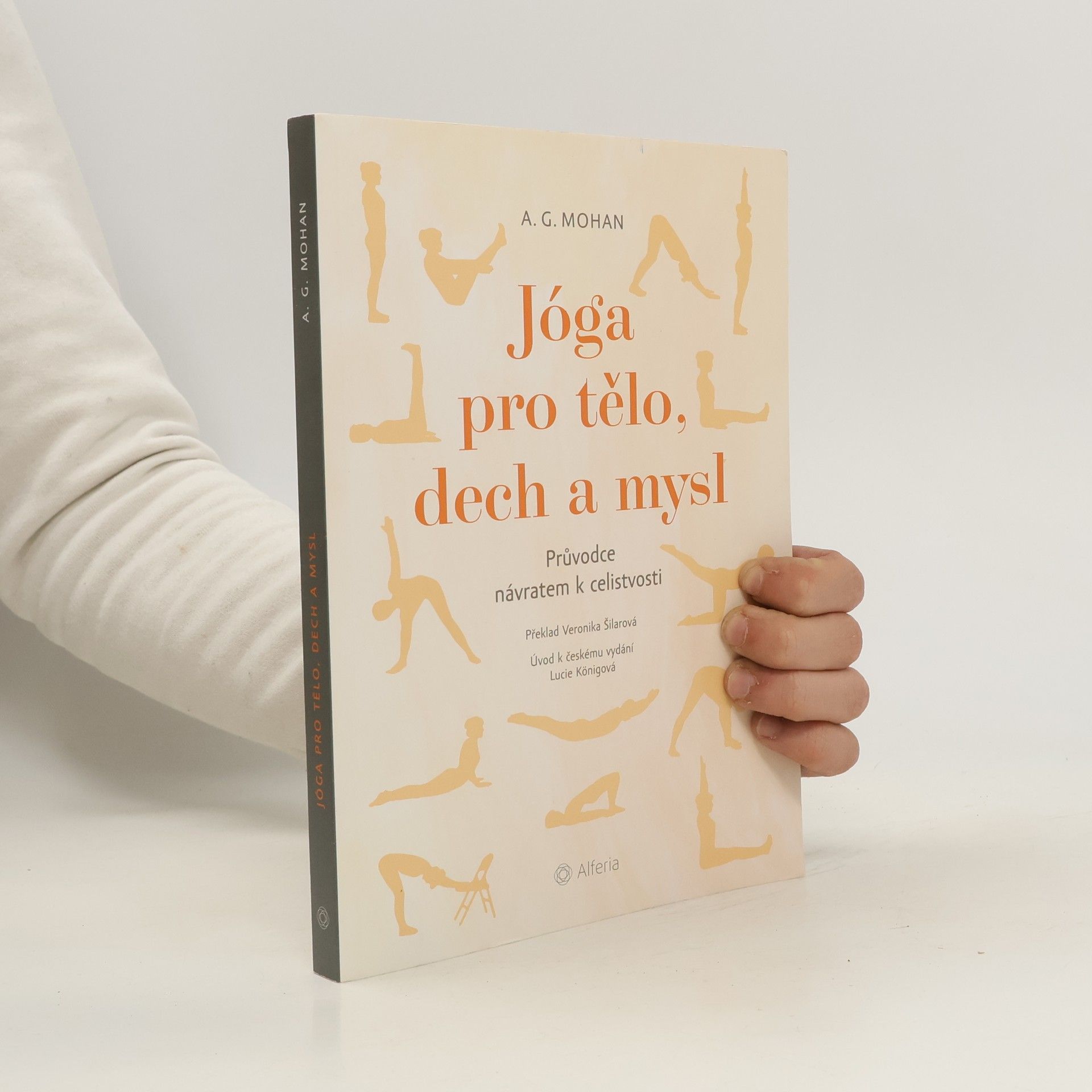 A. G. Angarai Ganesha Mohan Jóga pro tělo, dech a mysl : průvodce návratem k celistvosti