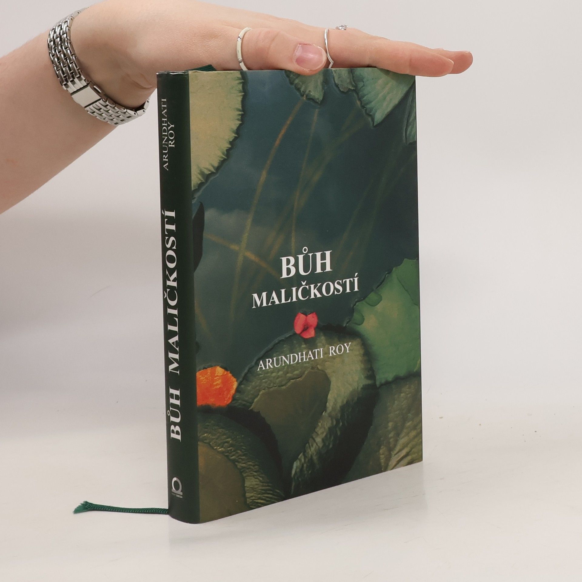 Arundhati Roy Bůh maličkostí