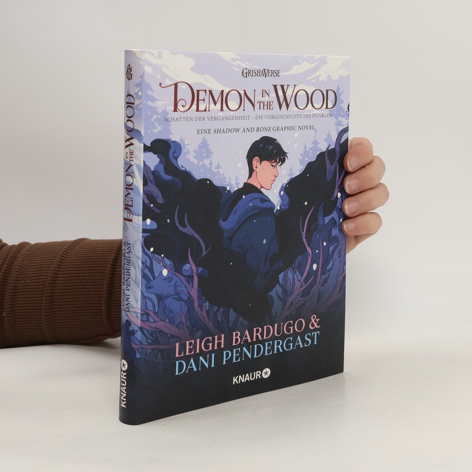 Leigh Bardugo Demon in the Wood. Schatten der Vergangenheit