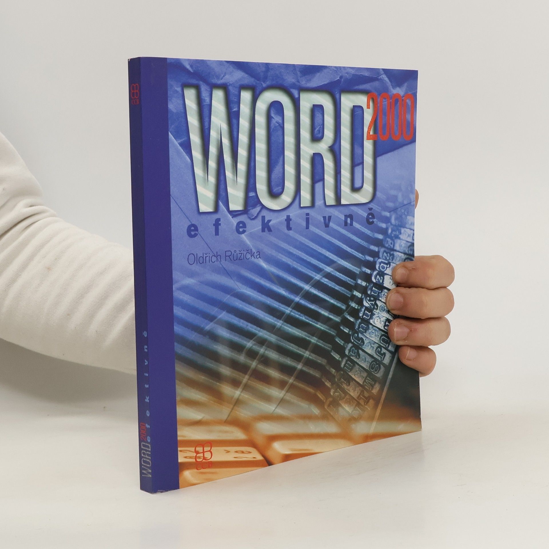 Oldřich Růžička Word 2000 efektivně