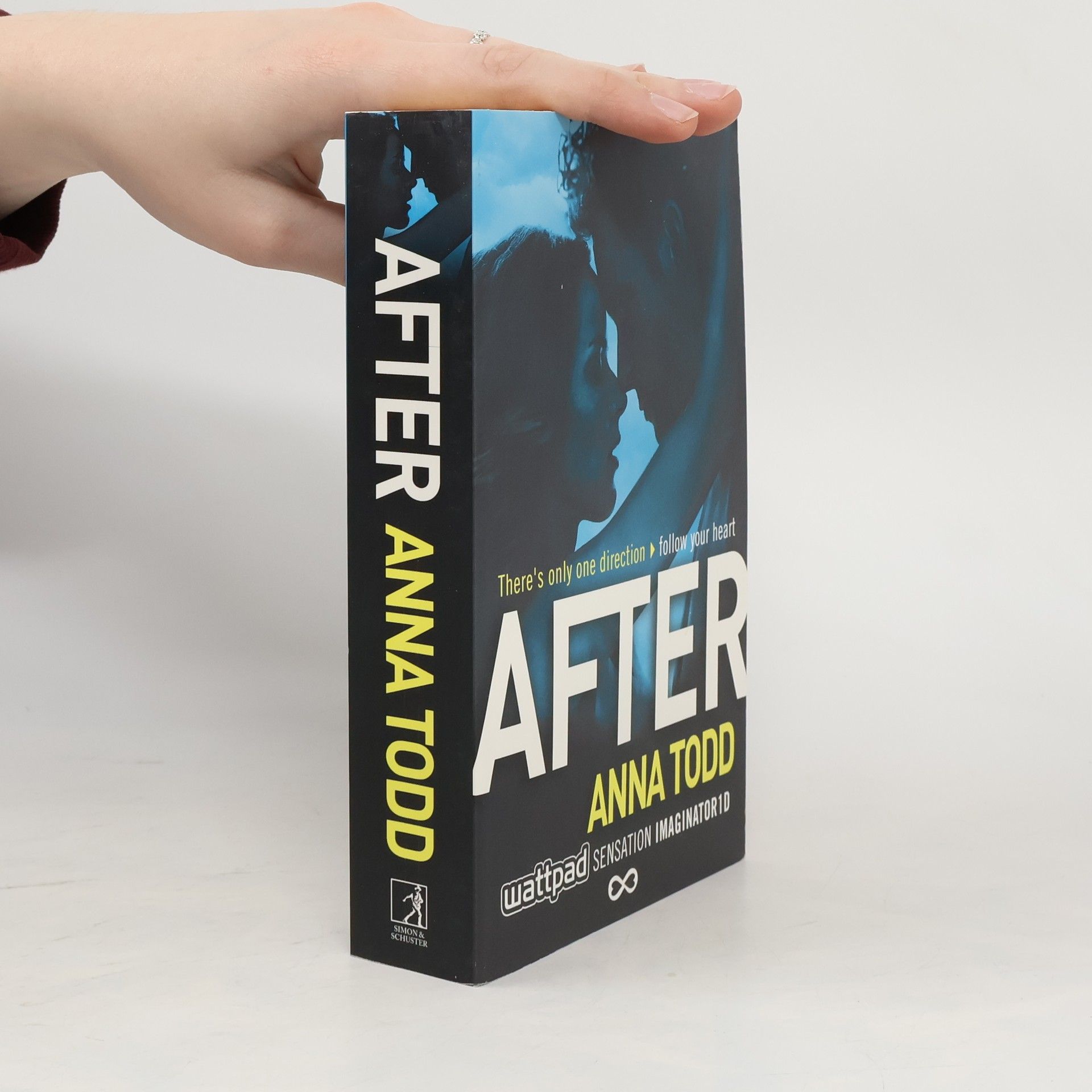 Anna Todd After