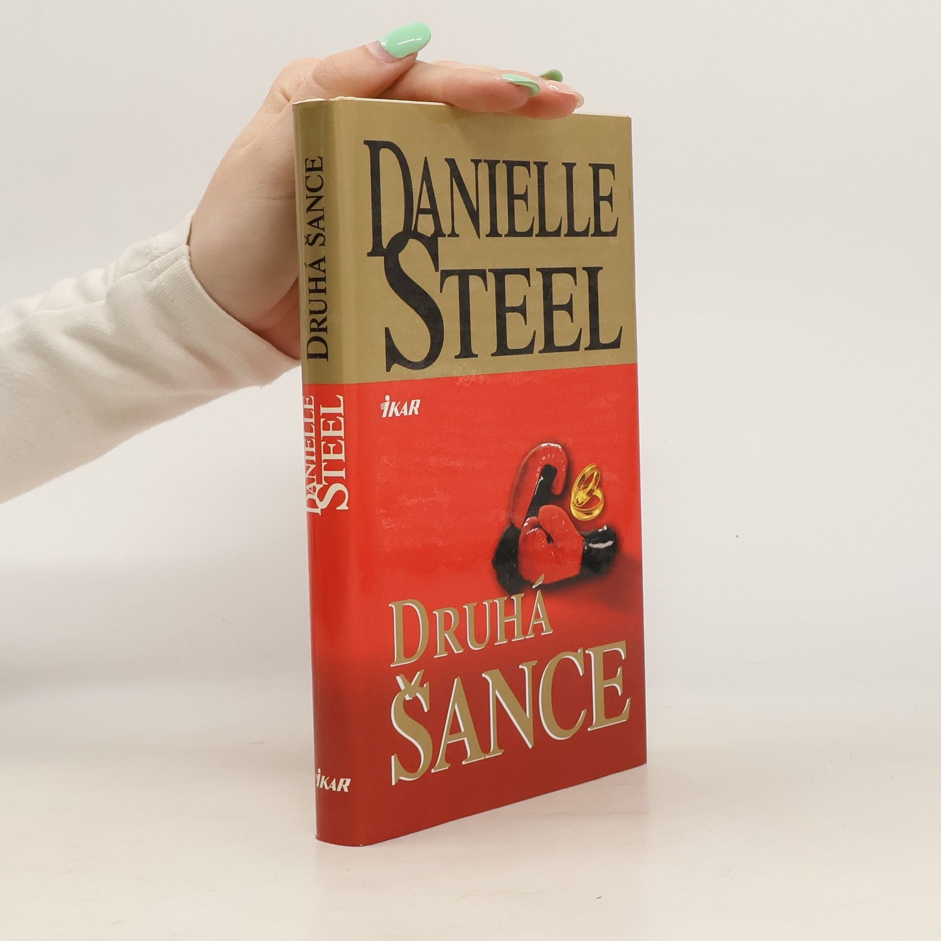 Danielle Steel Druhá šance