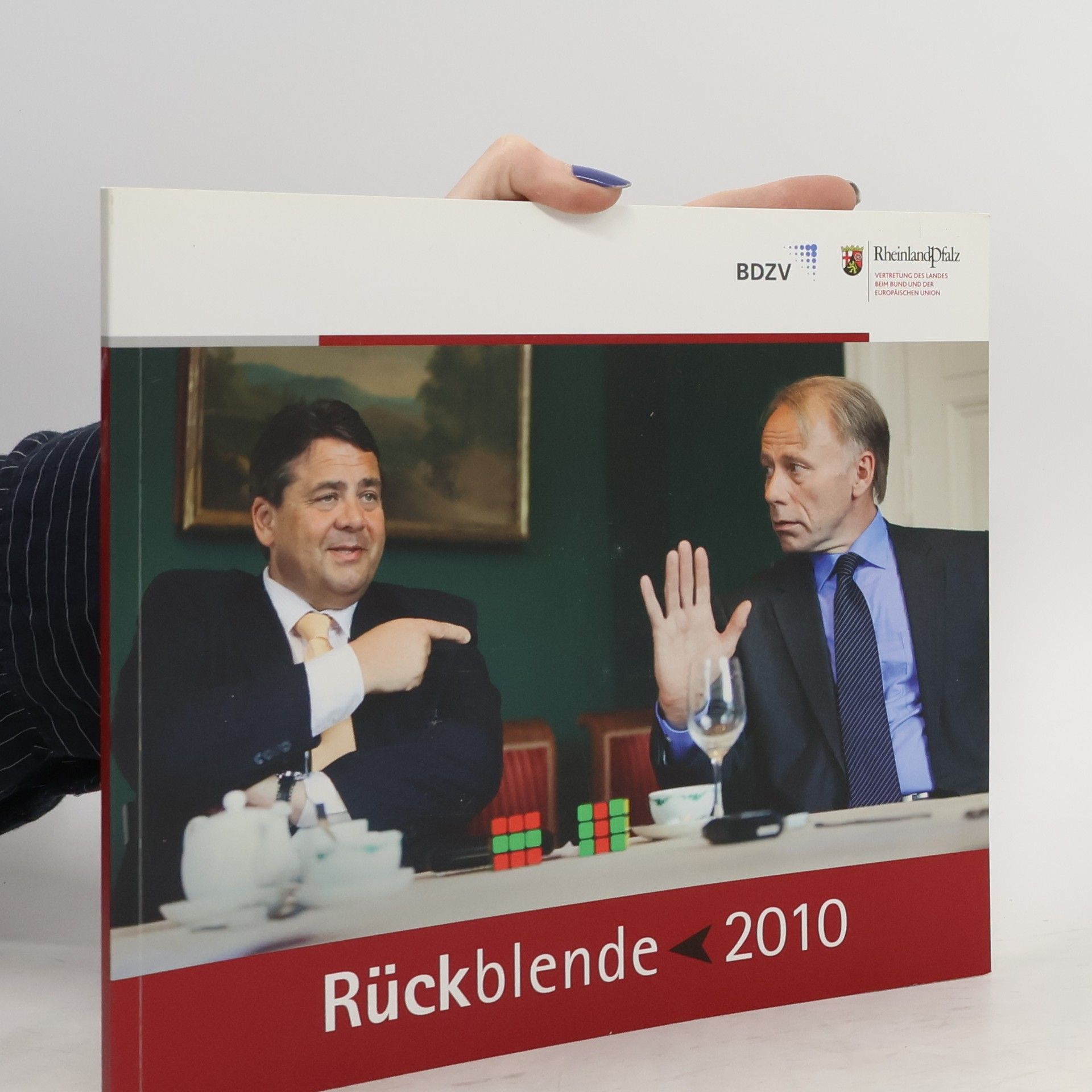 AA.VV. Rückblende 2010