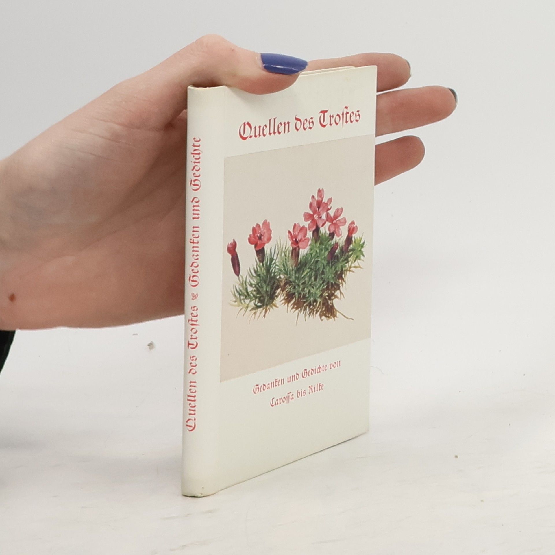 kolektiv Quellen des Trostes