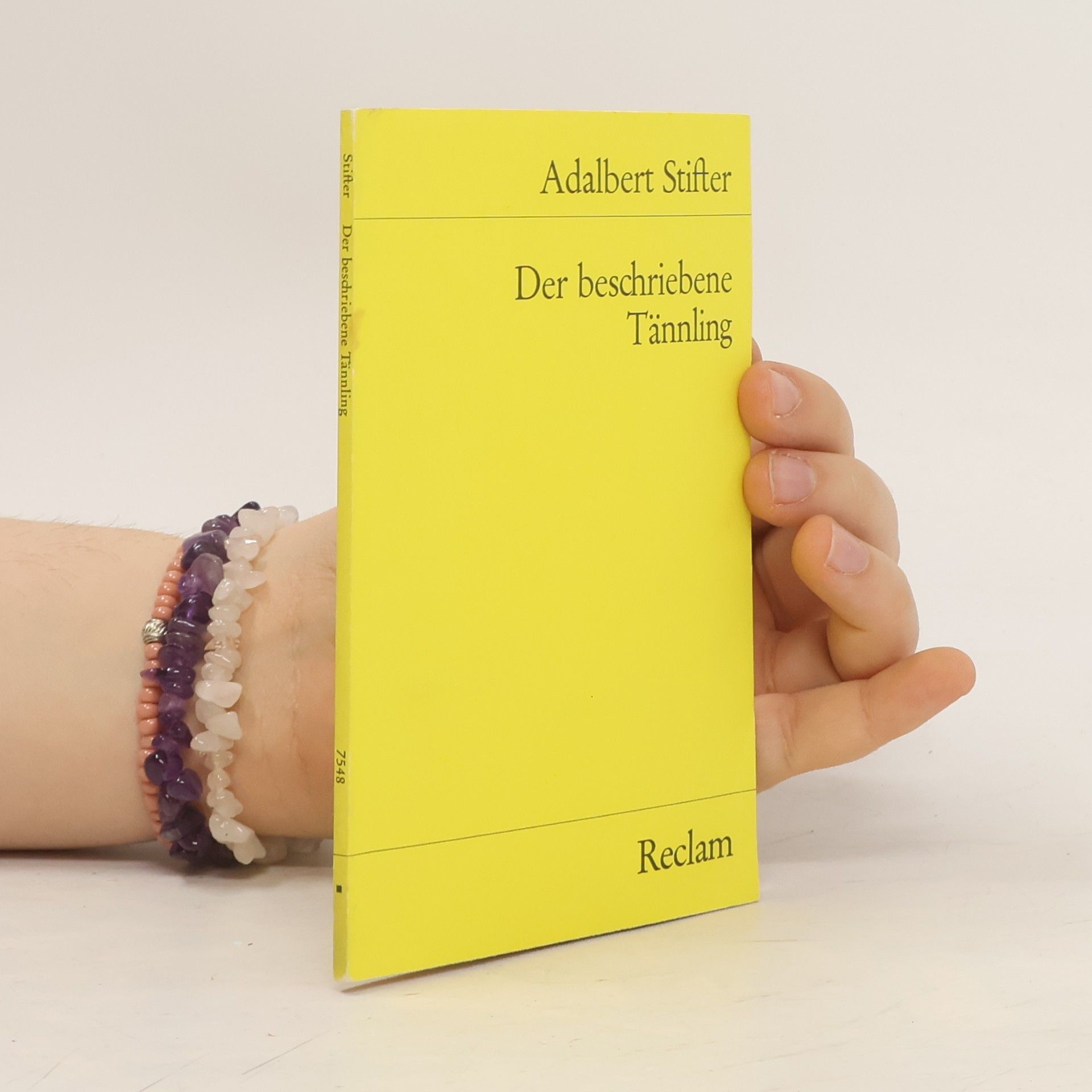 Adalbert Stifter Der beschriebene Tännling