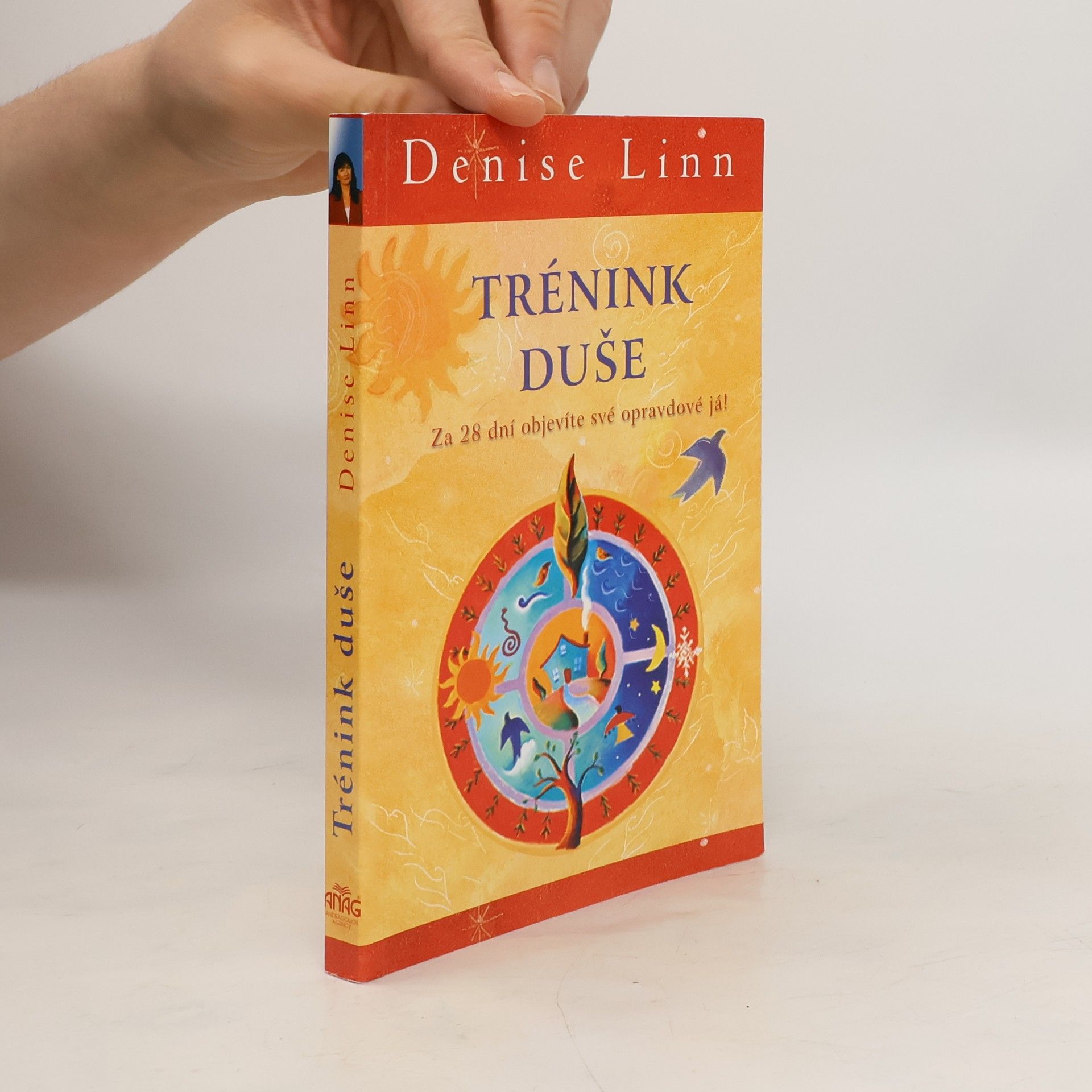 Denise Linn Trénink duše: Za 28 dní objevíte své opravdové já!