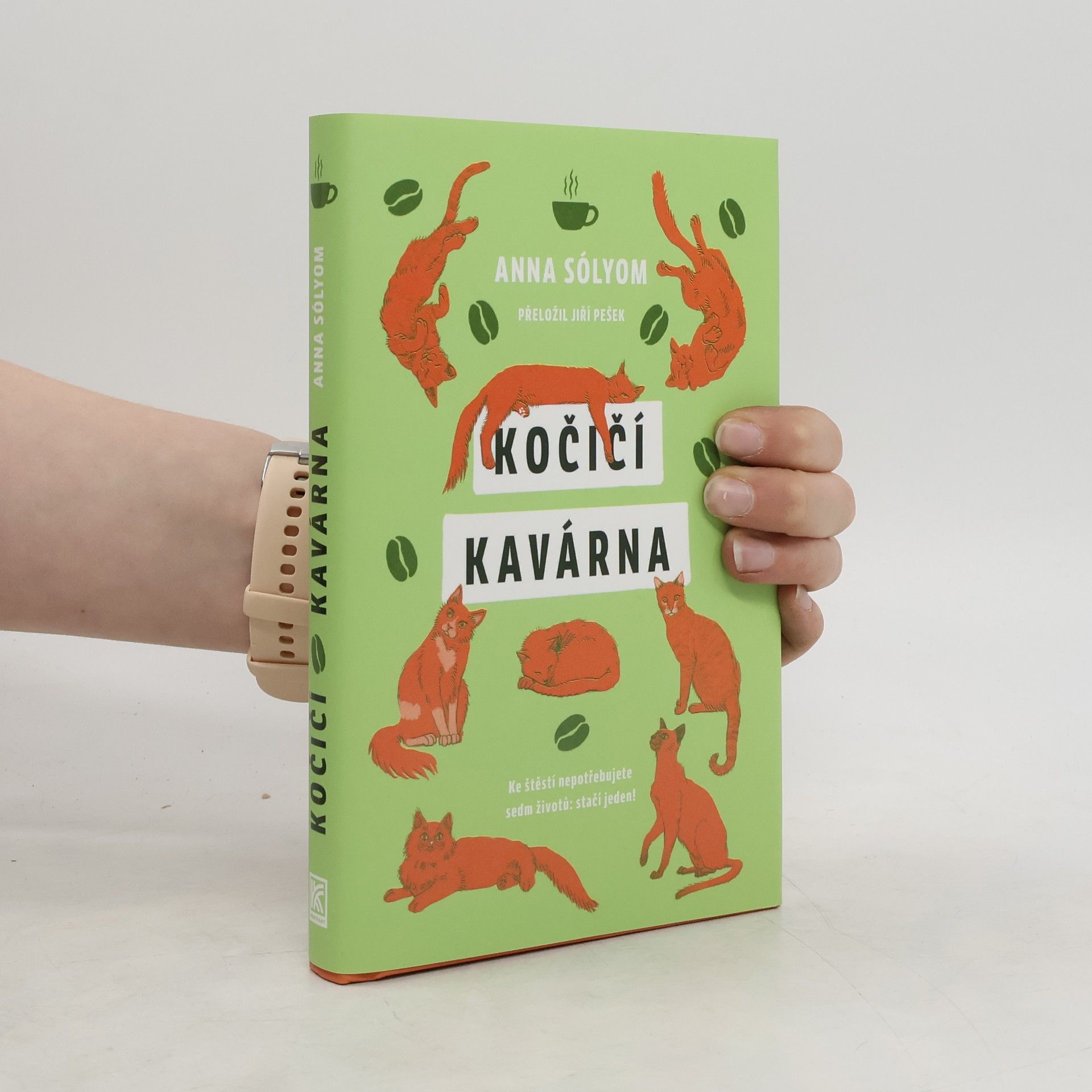 Anna Sólyom Kočičí kavárna