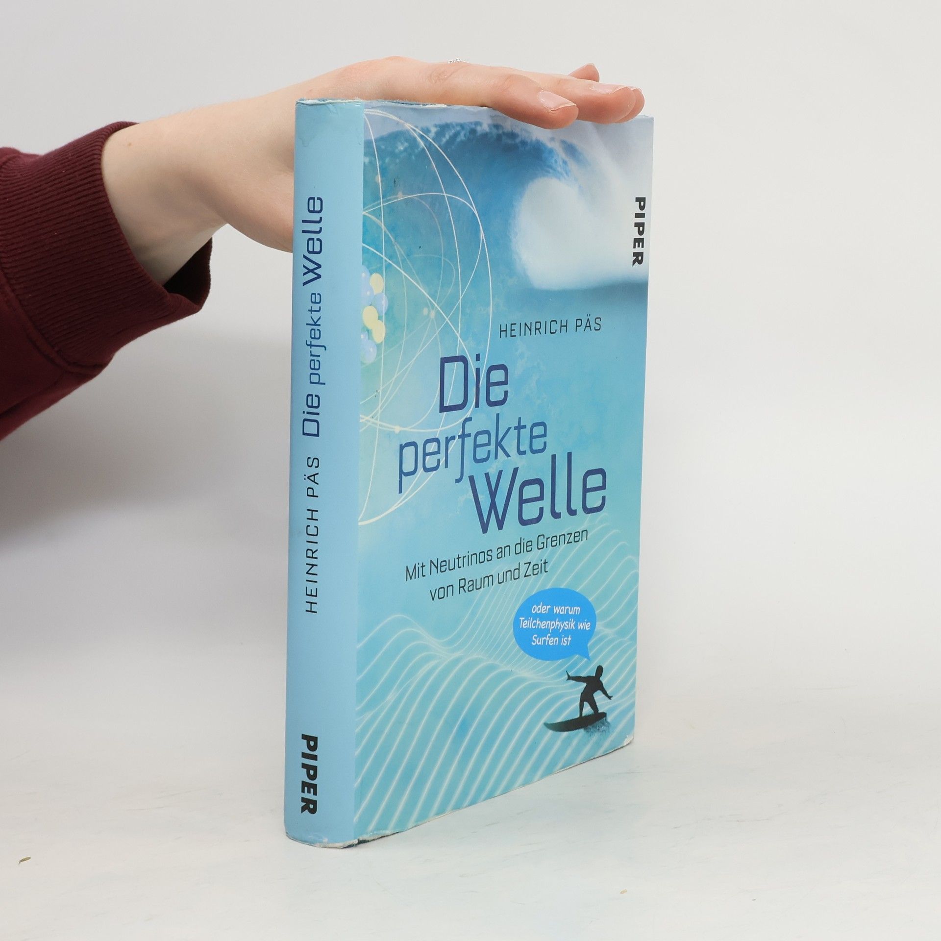 Heinrich Päs Die perfekte Welle