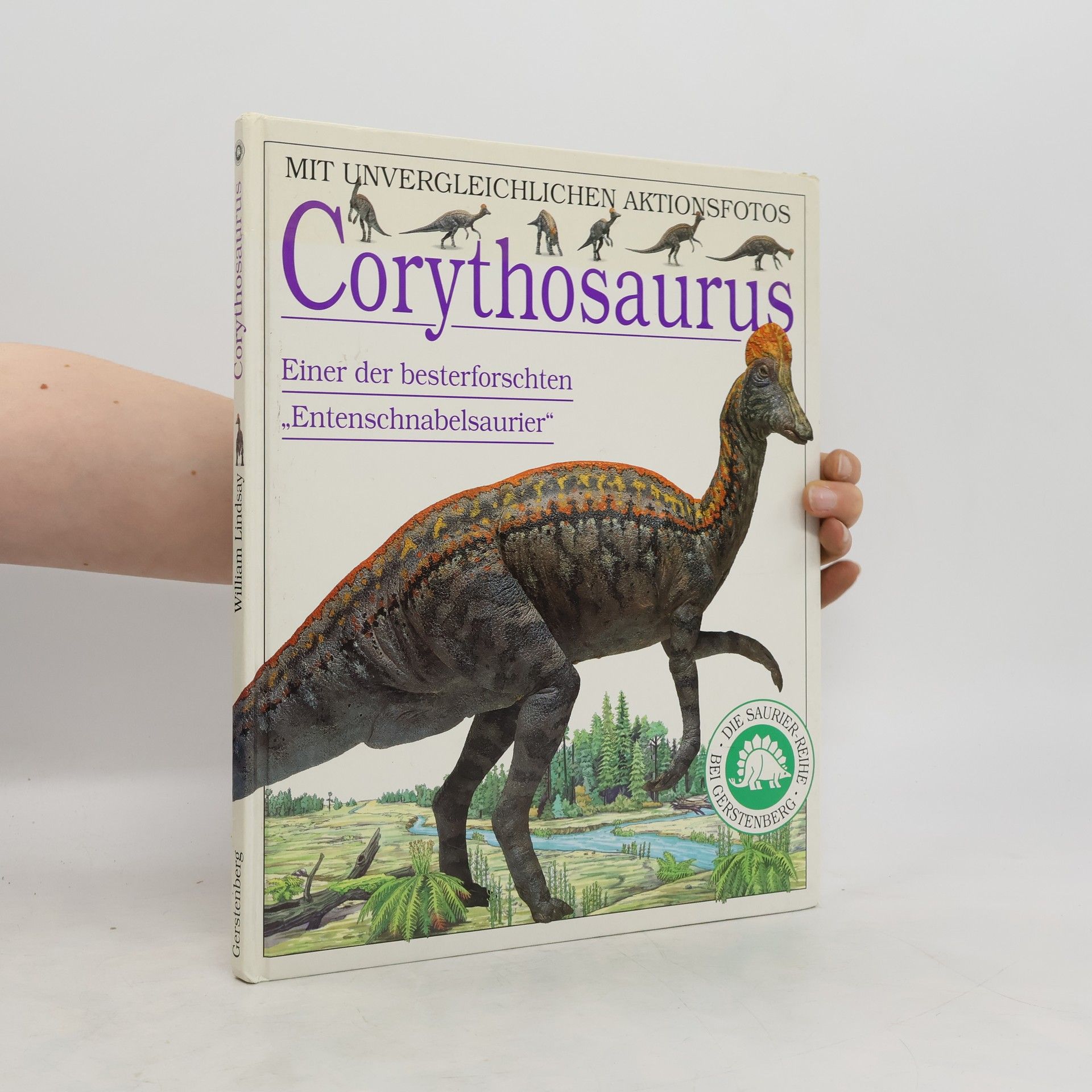 William Lindsay Corythosaurus