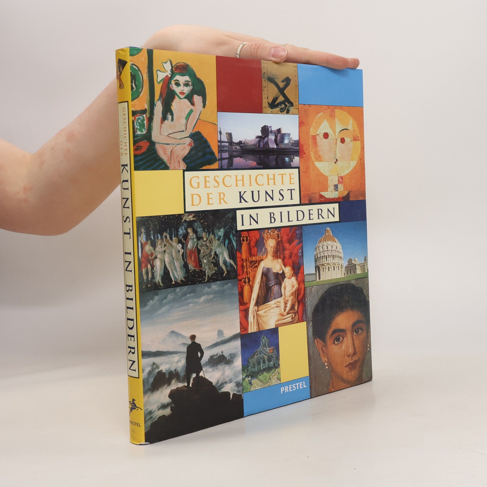Gilles Plazy Geschichte der Kunst in Bildern