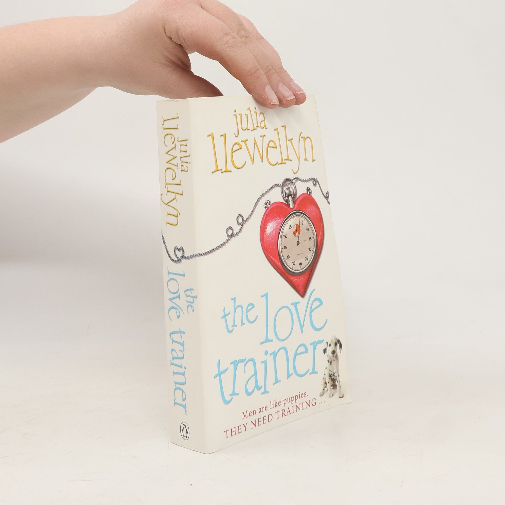 Julia Llewellyn The Love Trainer
