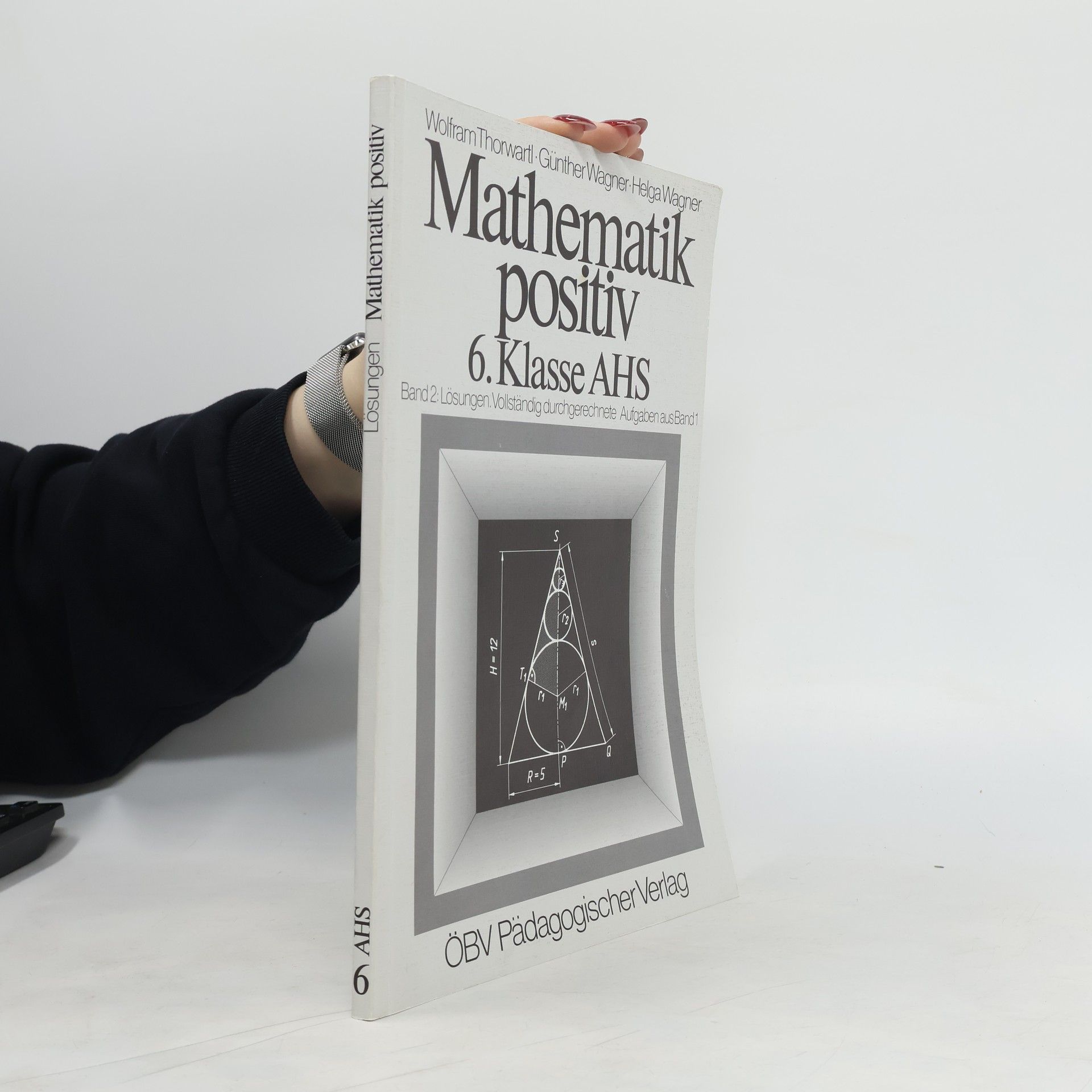 Autorenkollektiv Mathematik Positiv! 6. Klasse AHS. Band 2: Lösungen