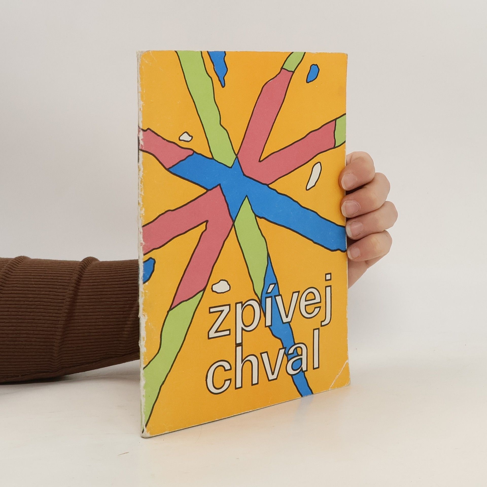 Aleš Lamr Zpívej, chval