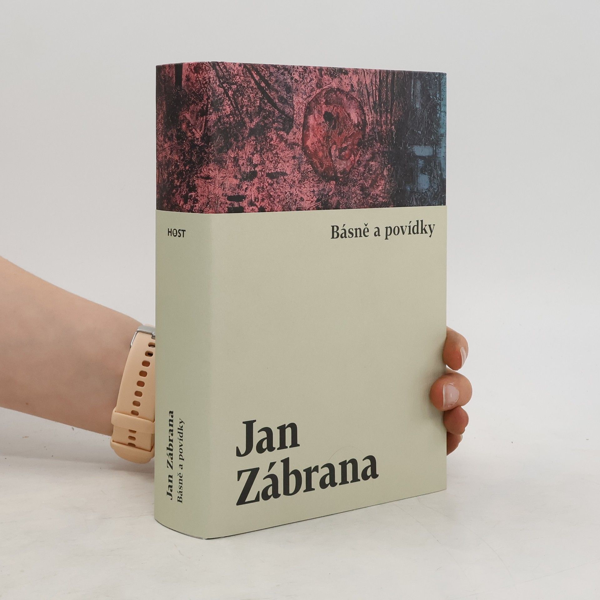 Jan Zábrana Básně a povídky
