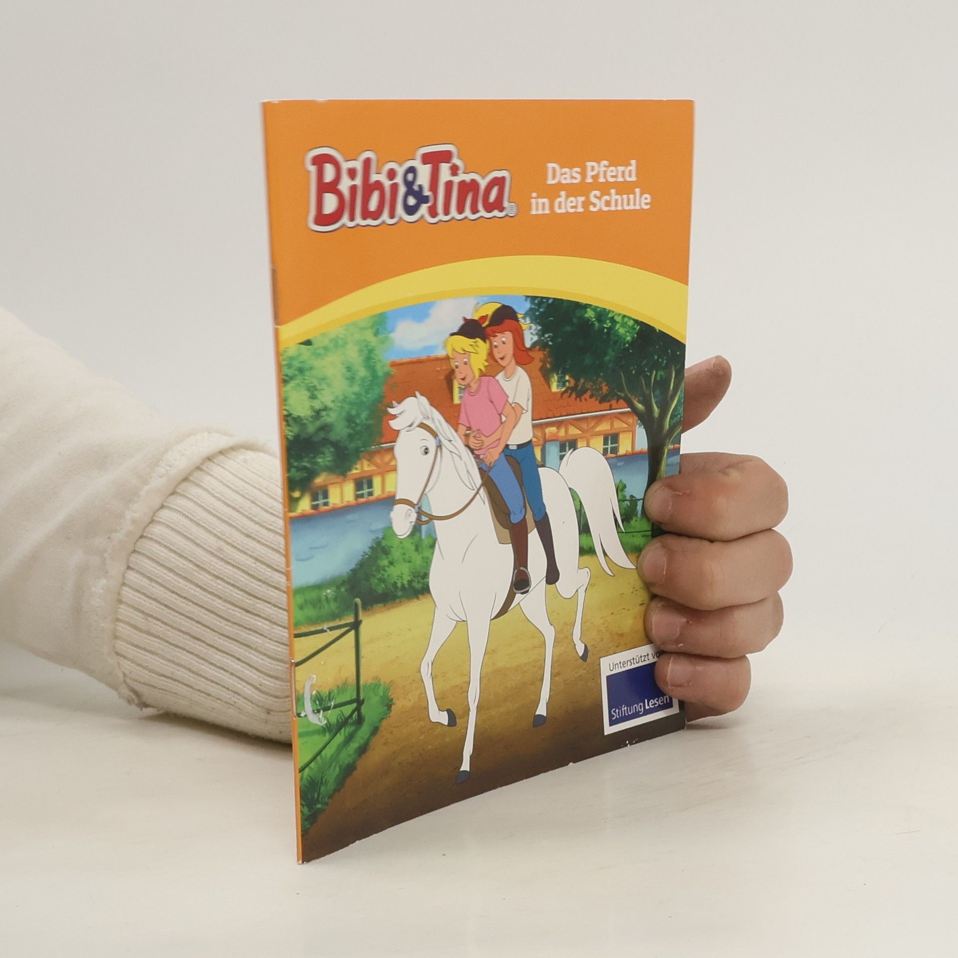 Jutta Dahn Bibi & Tina Das Pferd in der Schule
