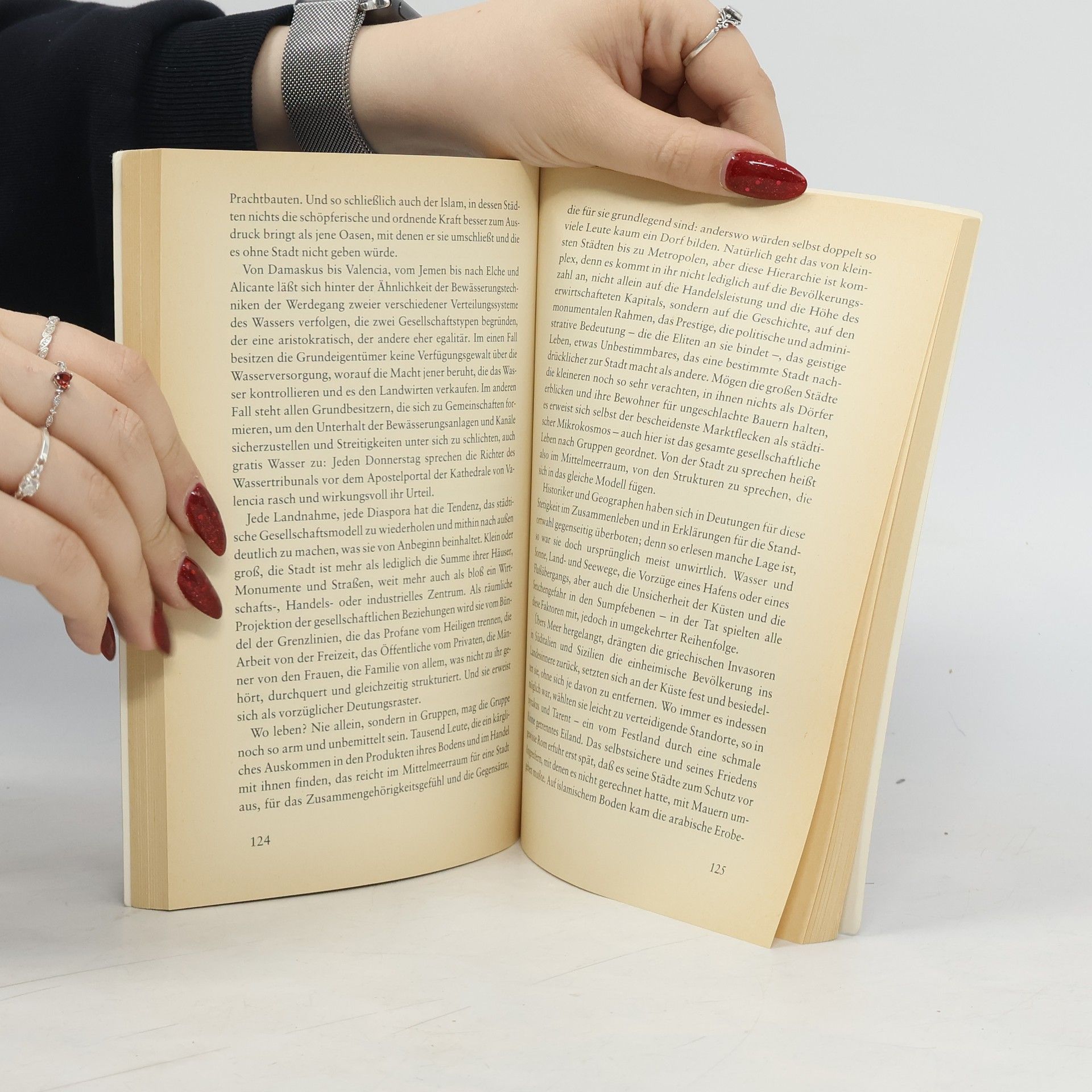 Fernard Braudel Die Welt des Mittelmeeres