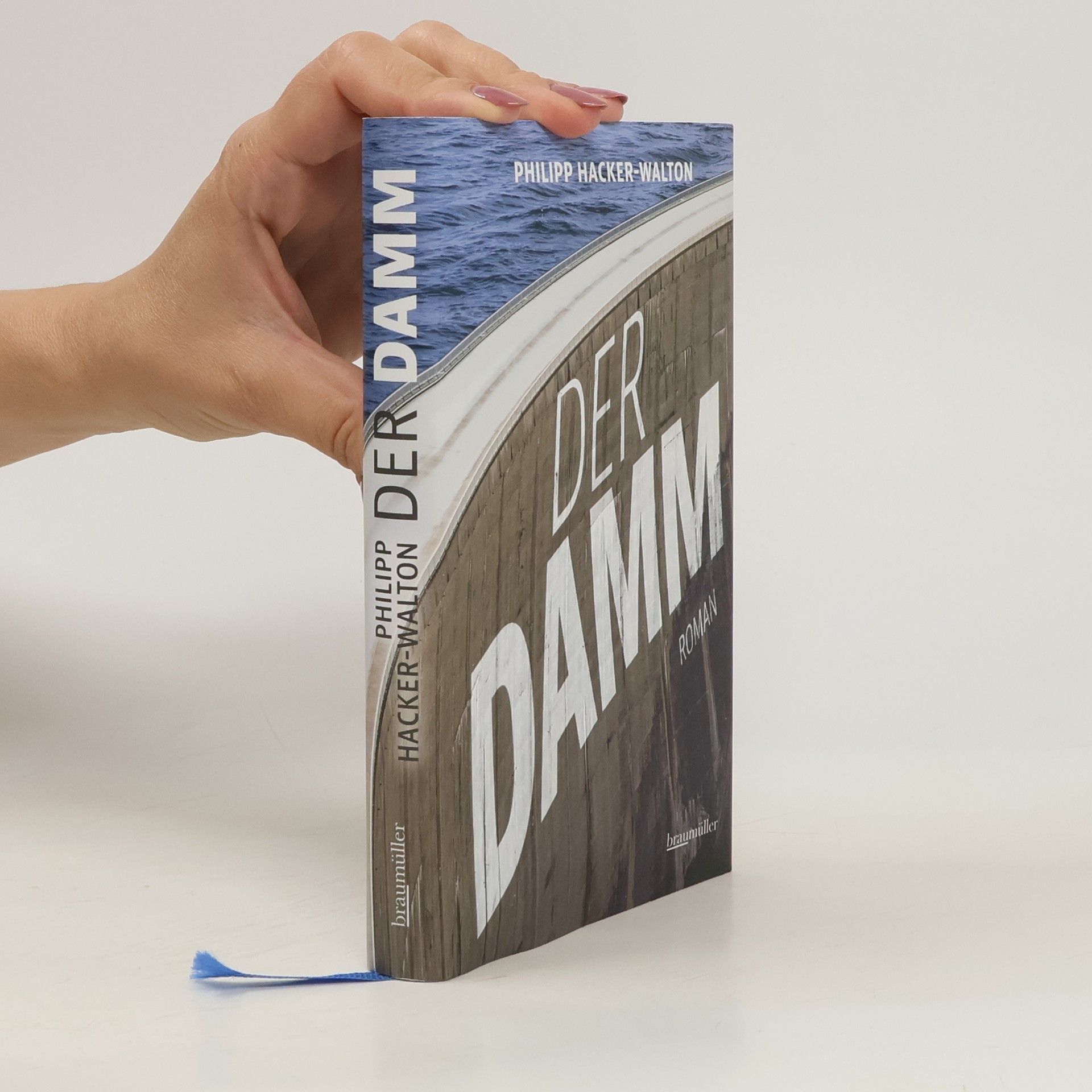 Philipp Hacker-Walton Der Damm