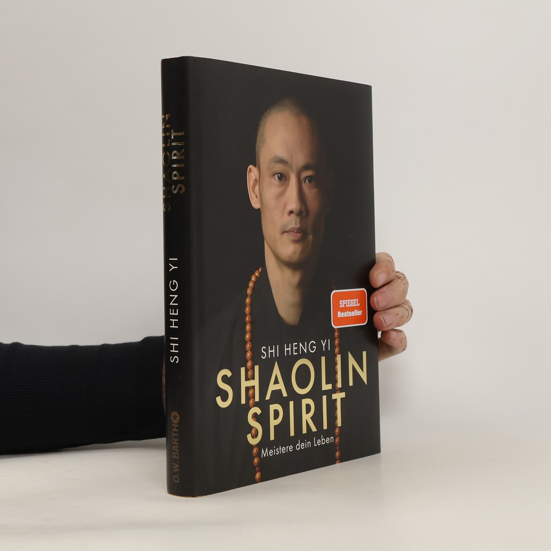 Shi Heng Shi Heng Yi Shaolin Spirit