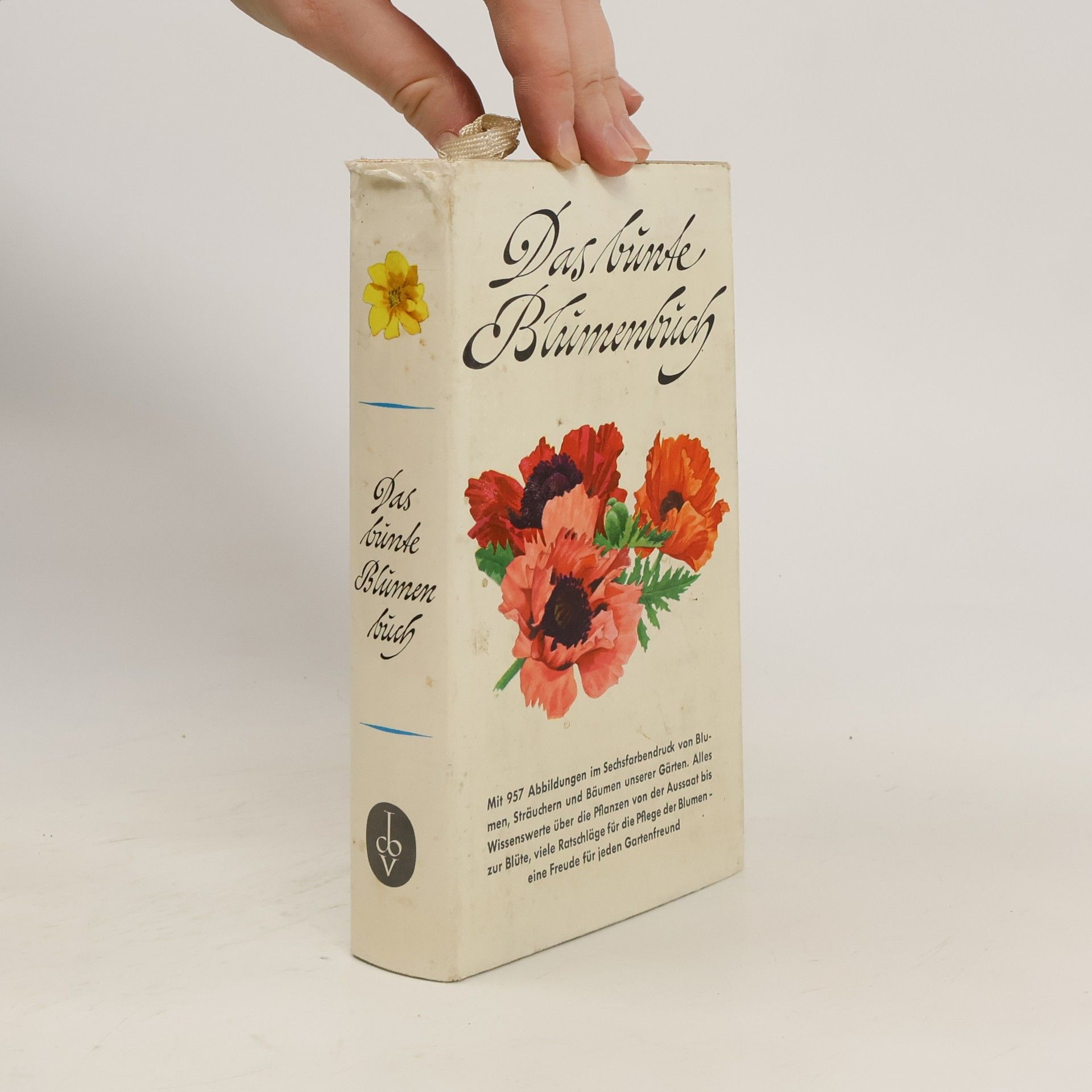 Kolektiv autorů Das bunte Blumenbuch