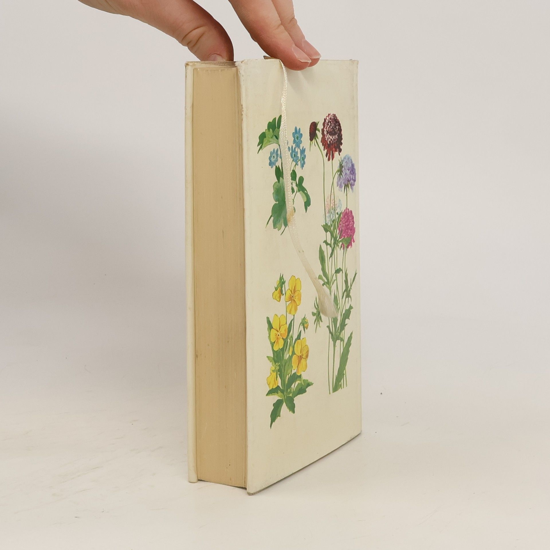 Kolektiv autorů Das bunte Blumenbuch
