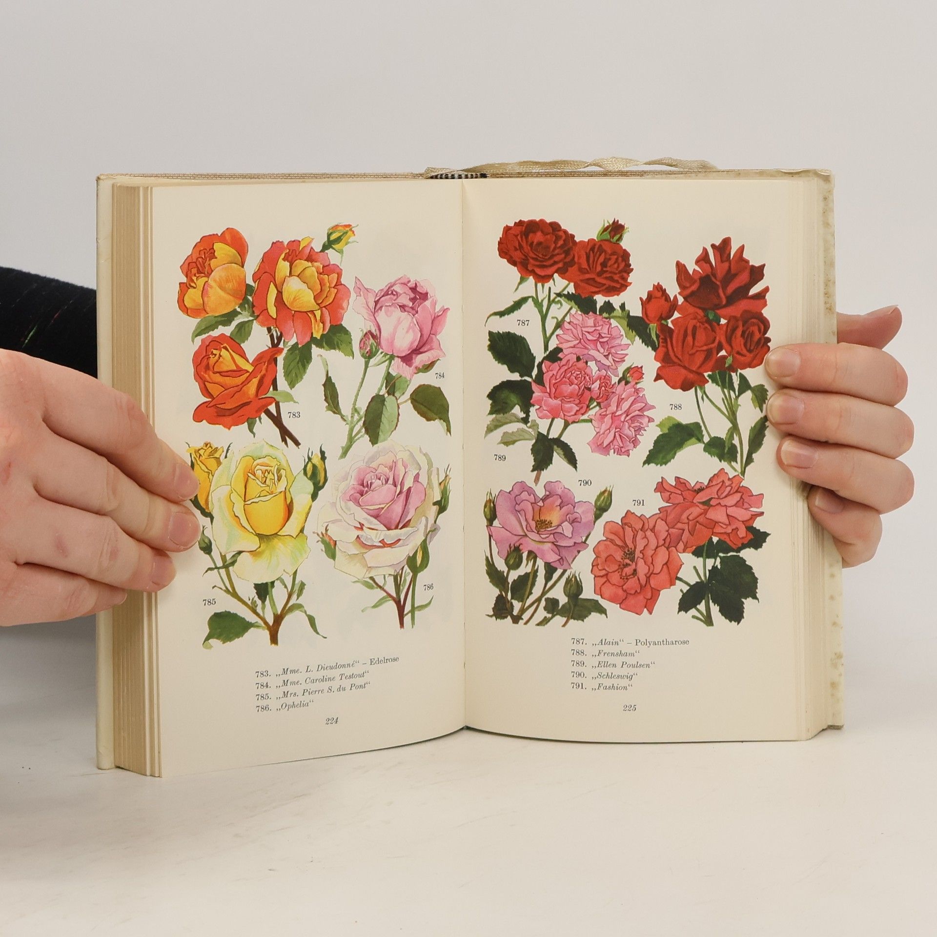 Kolektiv autorů Das bunte Blumenbuch