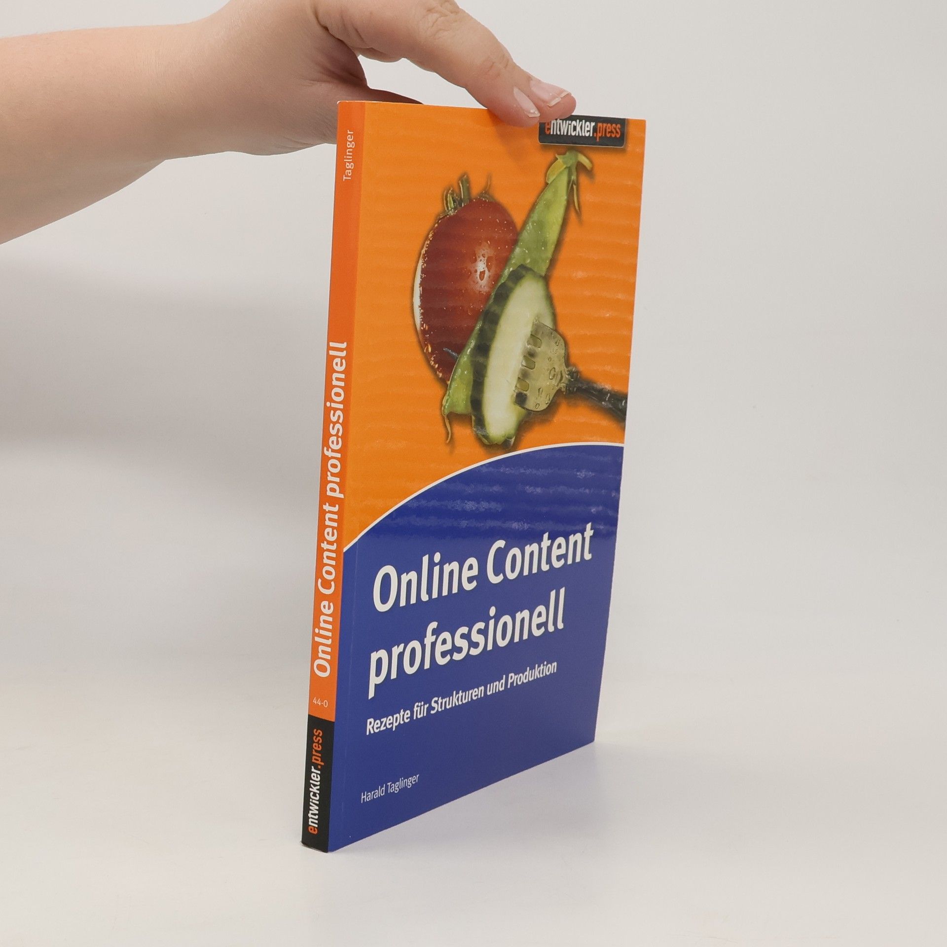 Harald Taglinger Online Content professionell