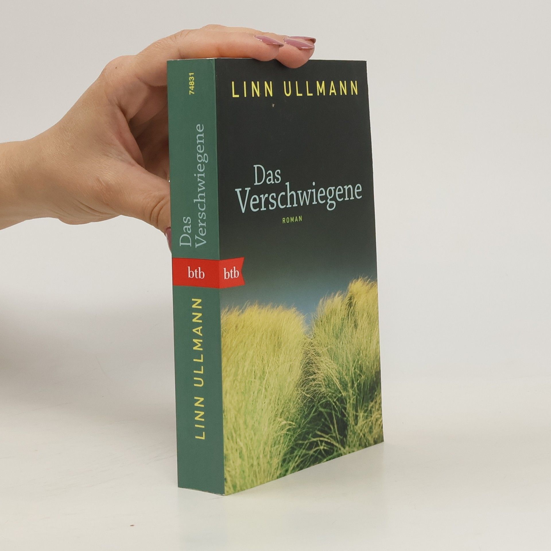 Linn Ullmann Das Verschwiegene