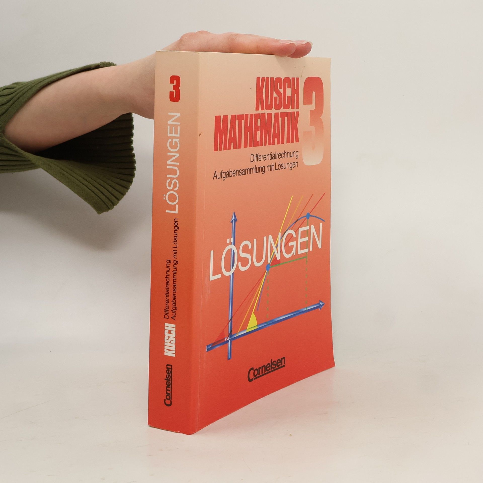Heinz Jung Mathematik. Lösungsbuch zu Teil 3: Differentialrechnung