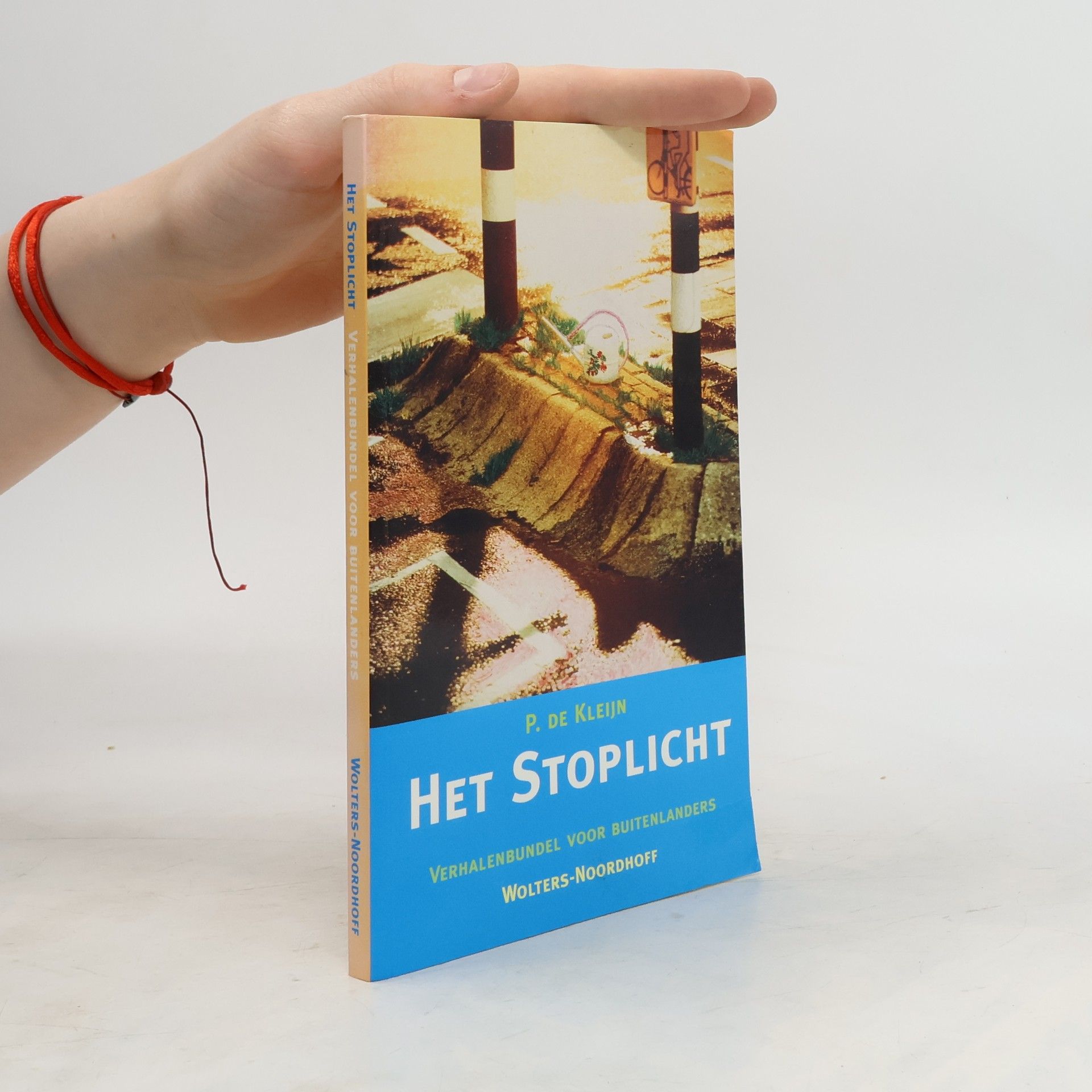 P. de Kleijn Het stoplicht
